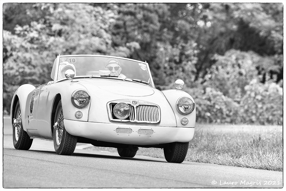 MG A Roadster  - 1956