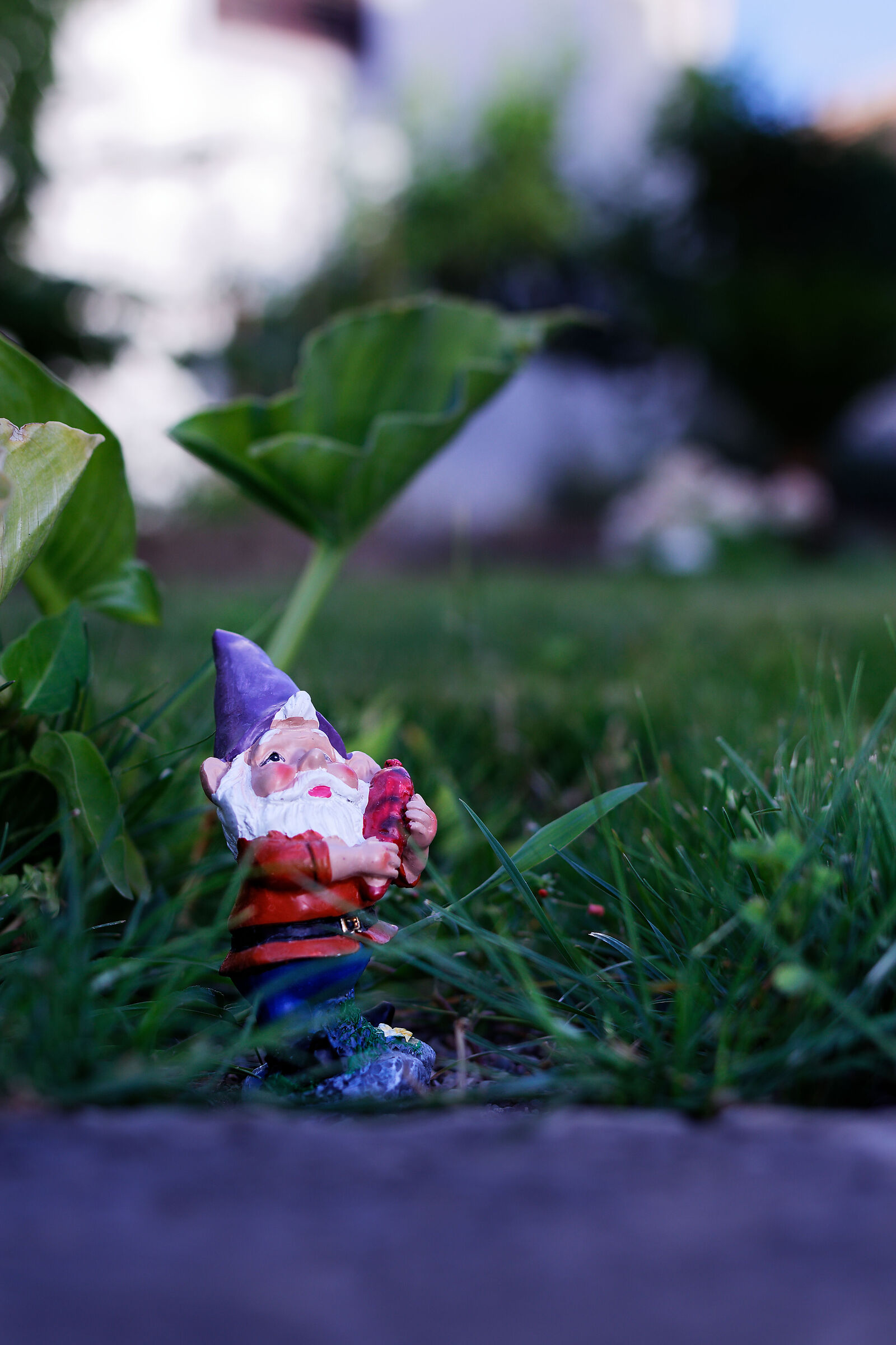 Gnome