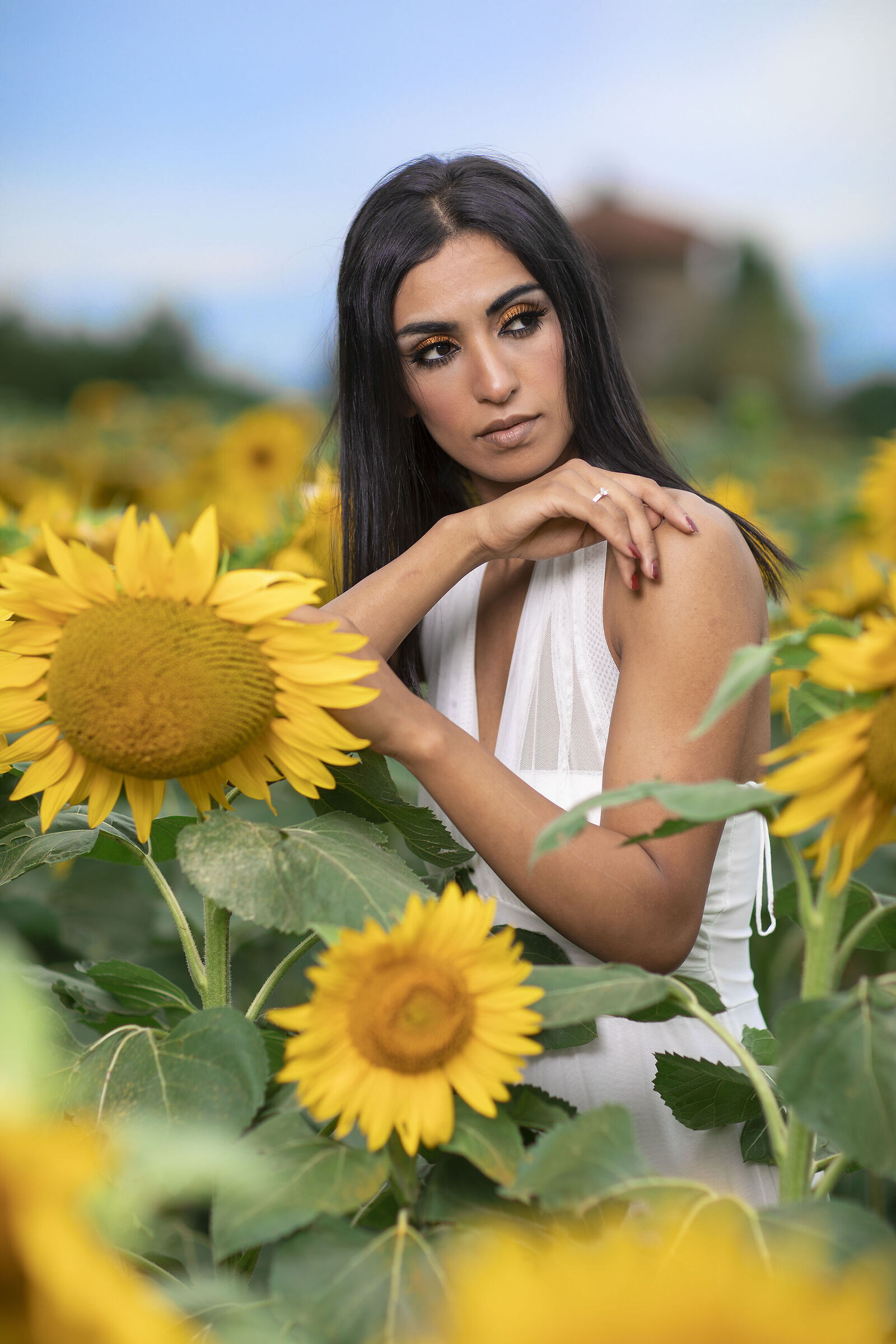 Sono fioriti i girasoli