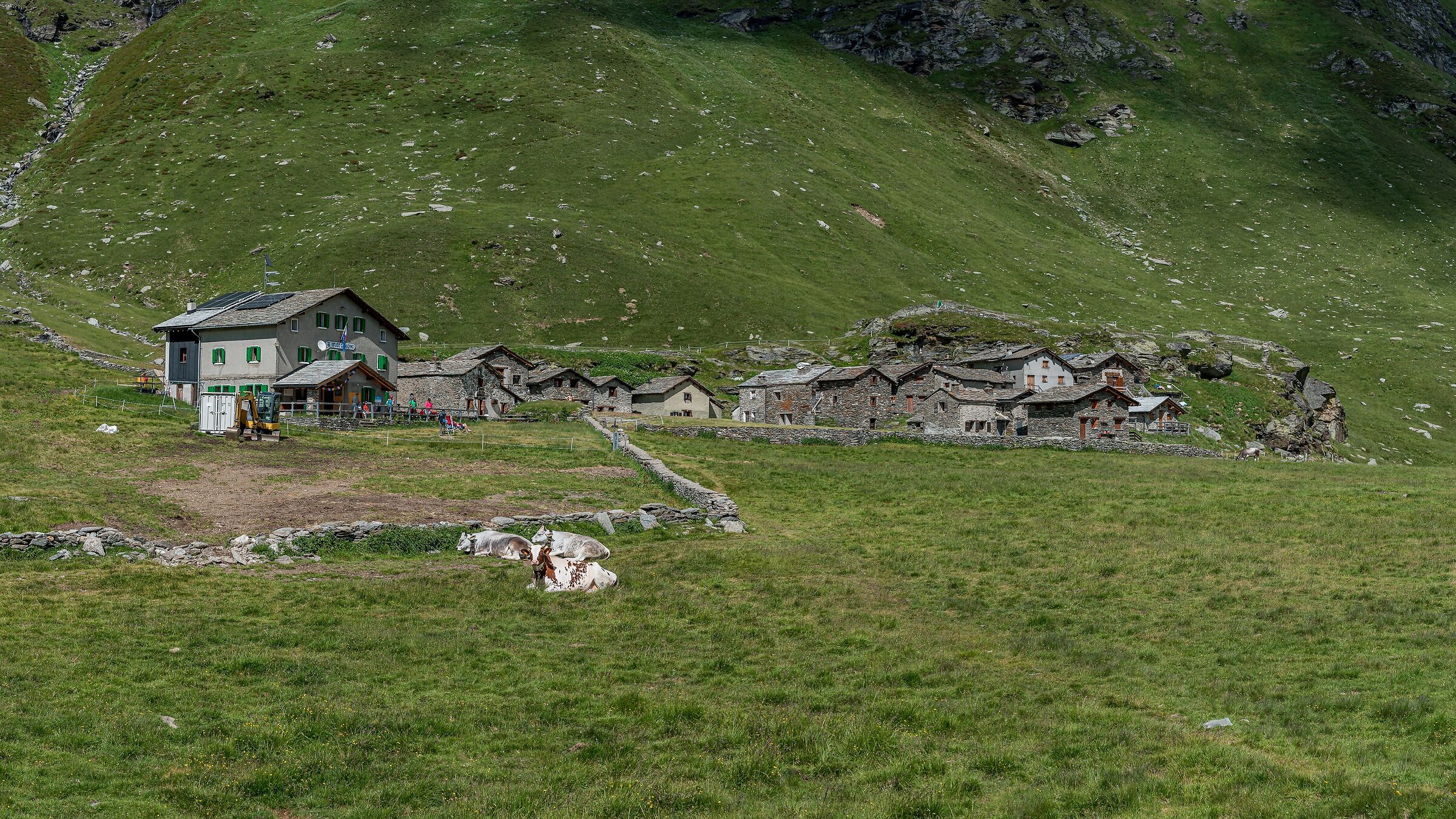 I verdi pascoli dell'alpe Angeloga