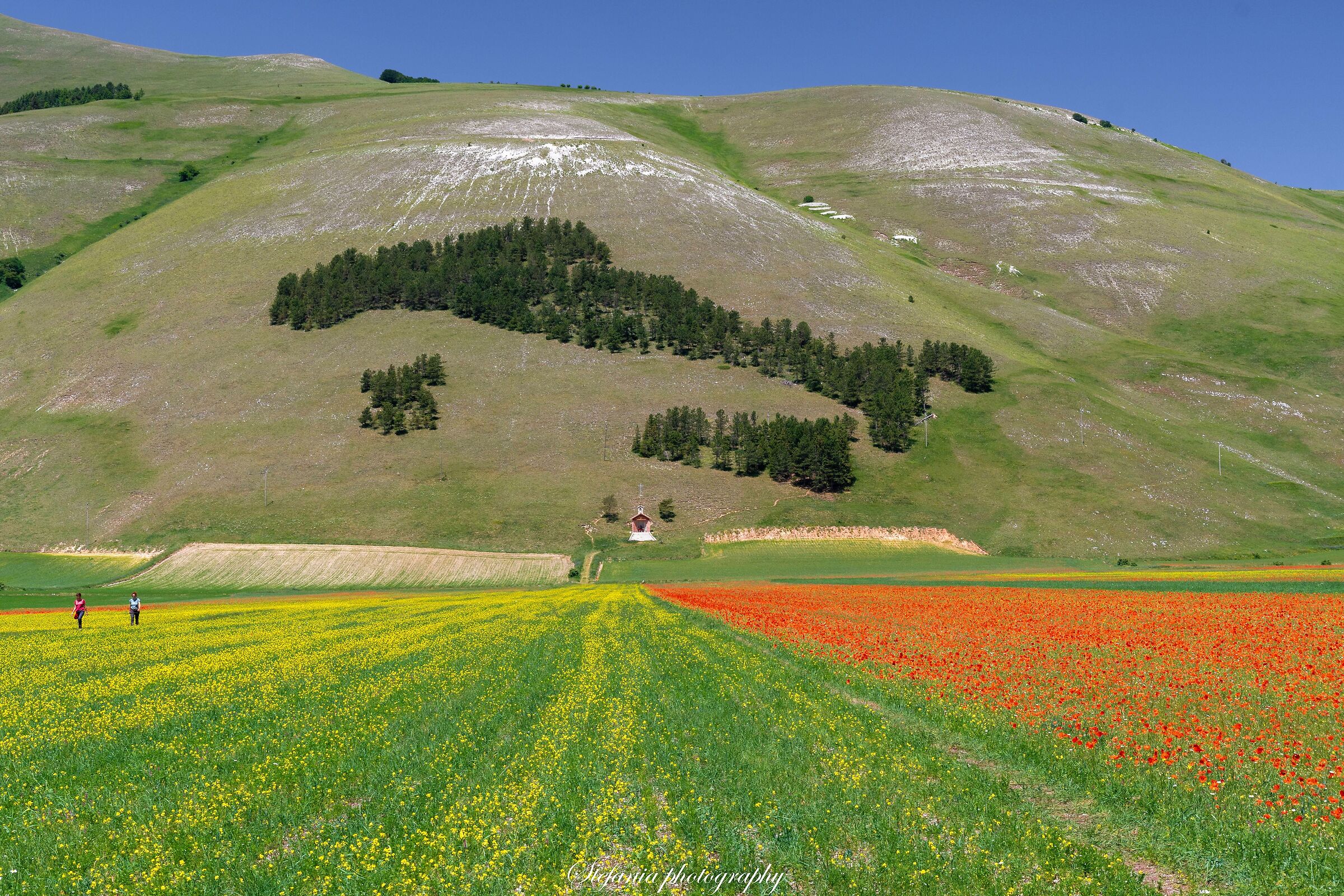 Castelluccio (Norcia)