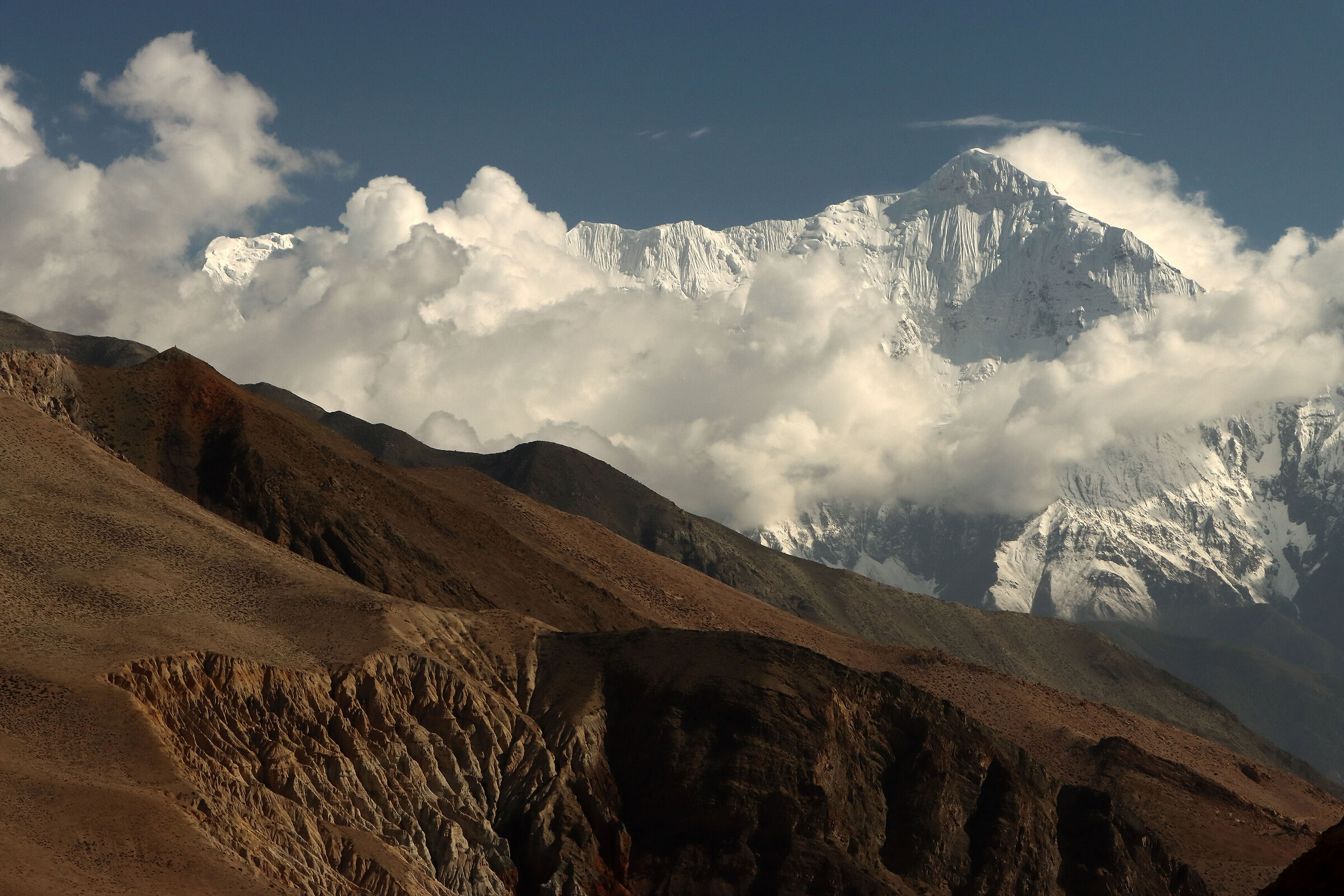 the Nilgiri dominates the Mustang