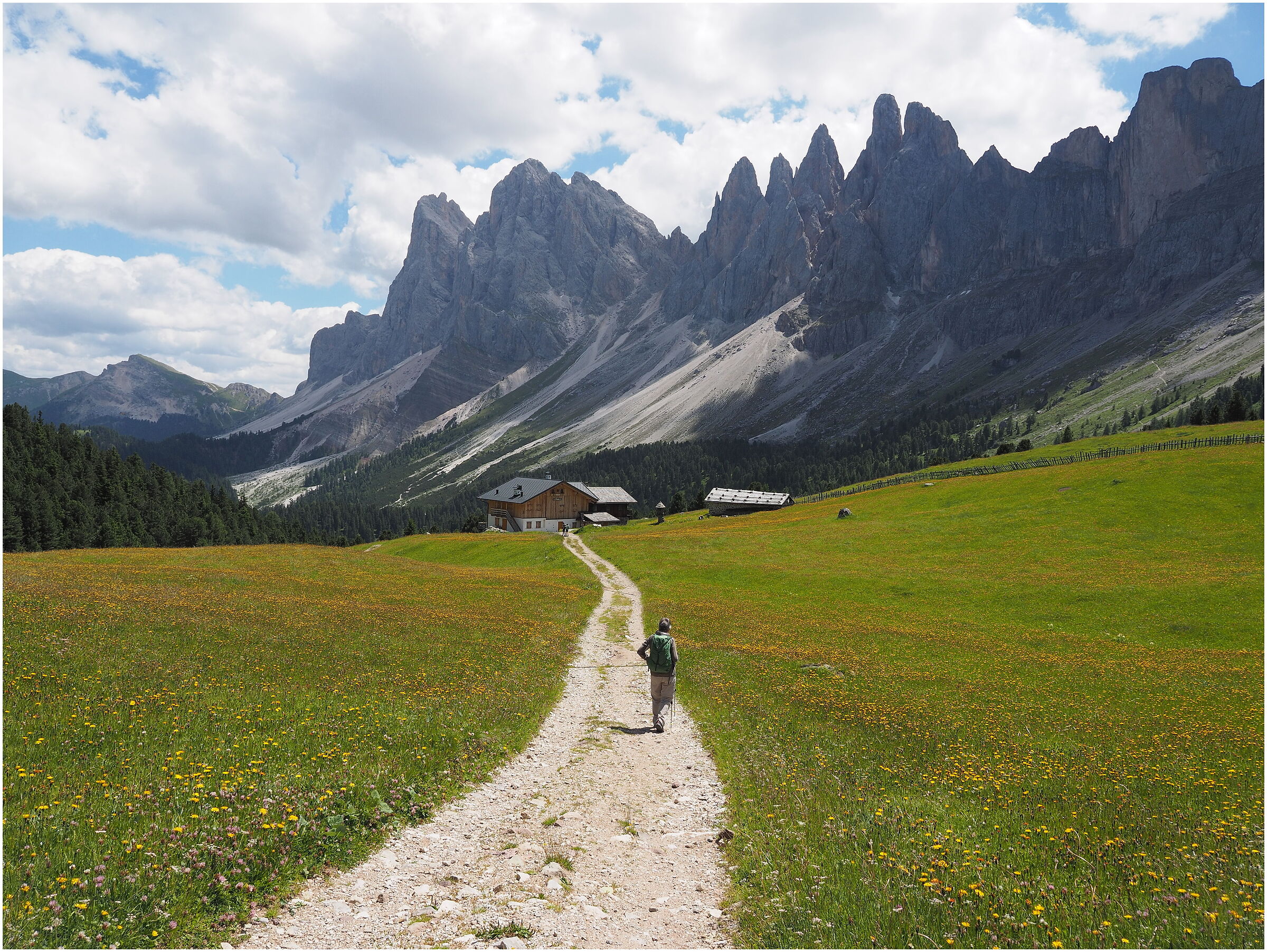 Malga Brogles e le Odle