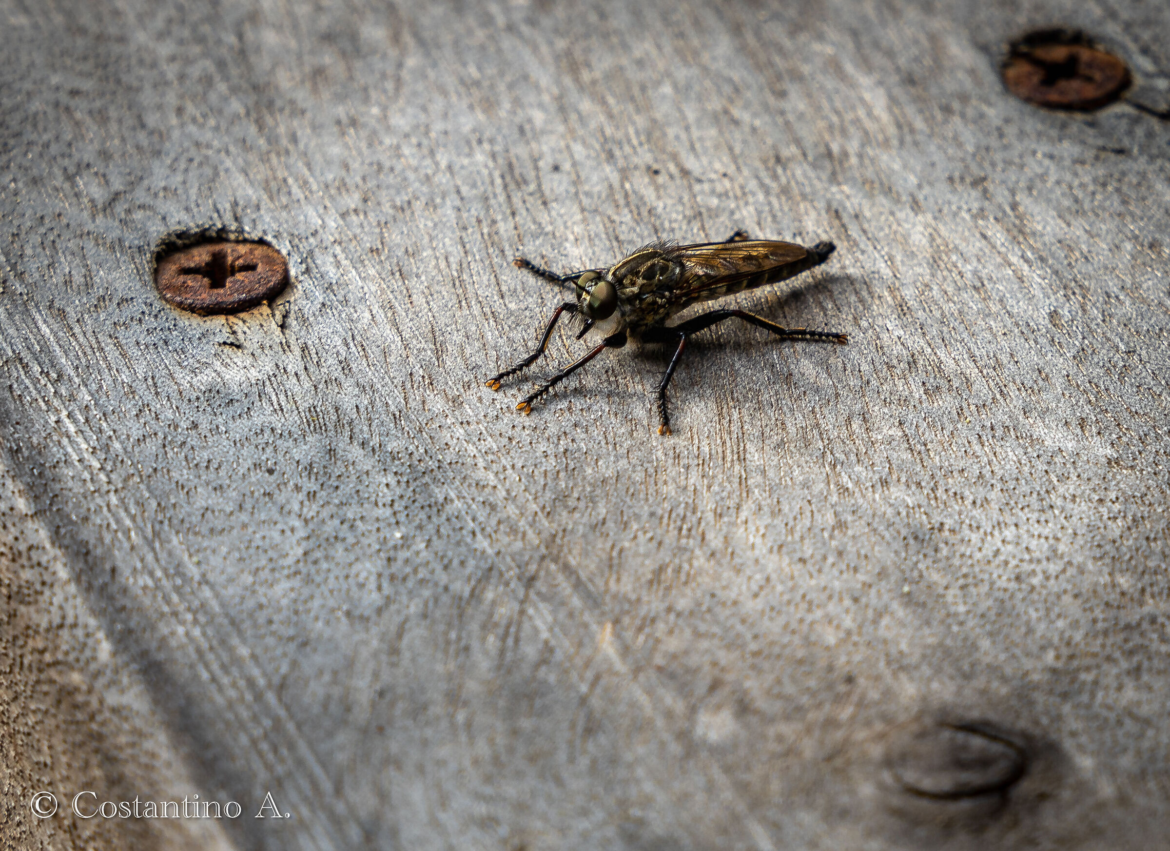 Untitled Photo