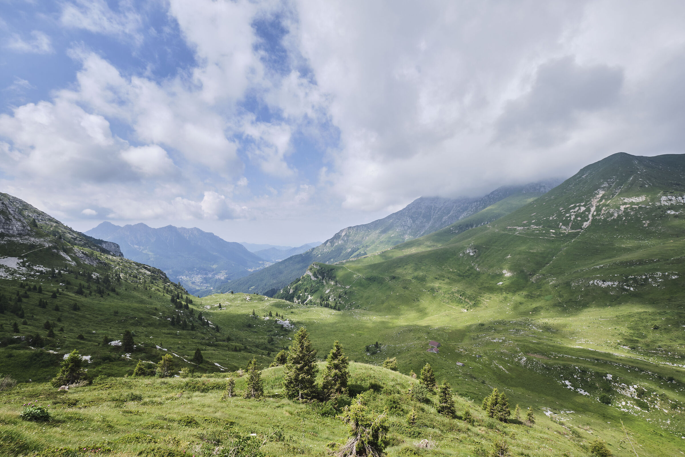 Sentiero dei Fiori (Oltre il Colle, BG)