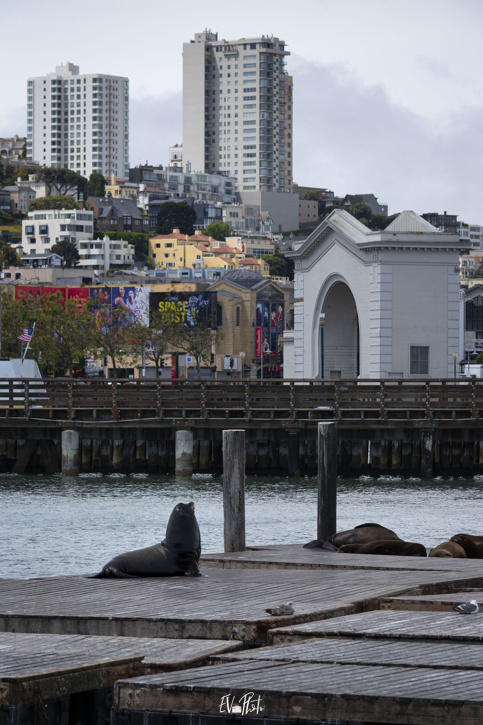 Pier 39