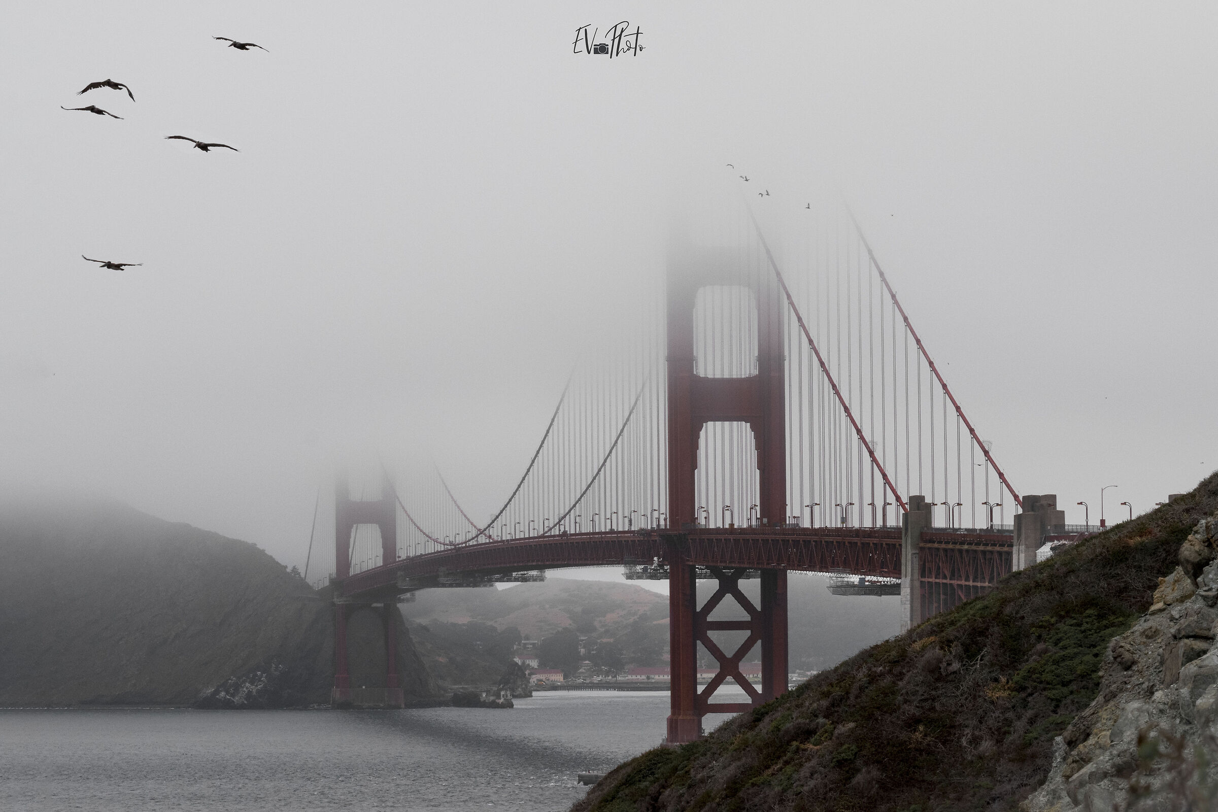 Karl the fog