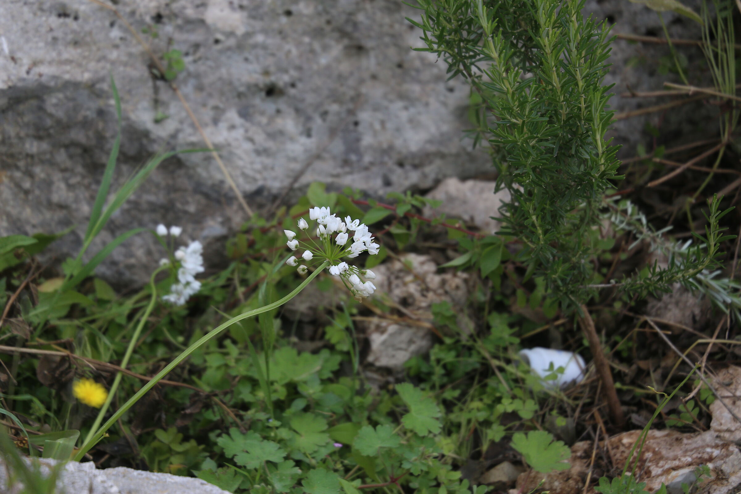 @ 200 mm- 1/ 1.0 0 0, F. 5.6, ISO 500- 6D, DO