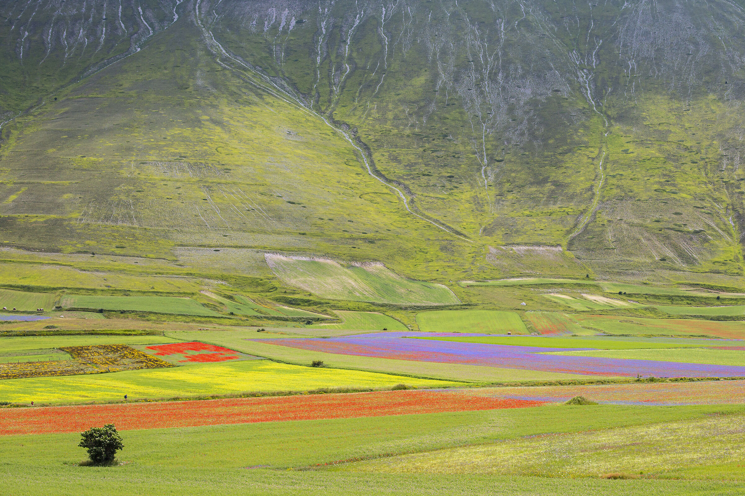 castelluccio