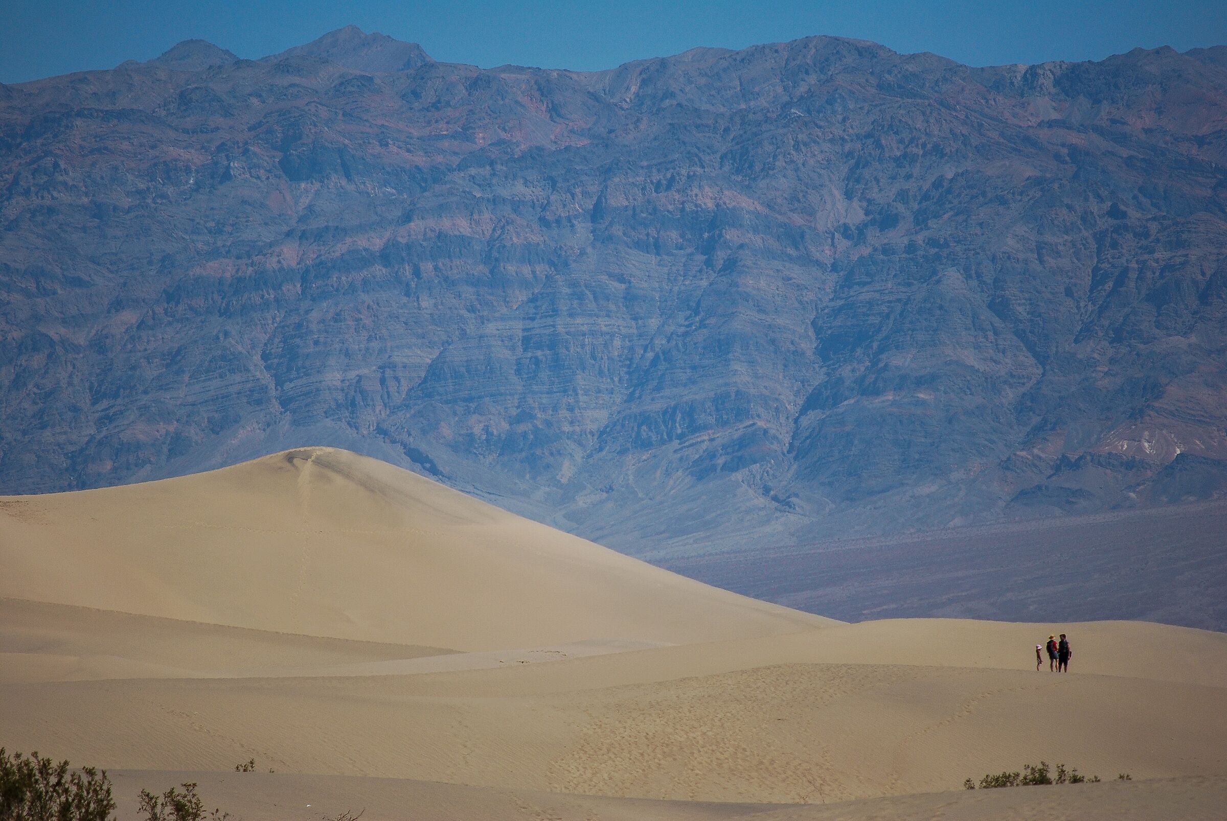 Desert