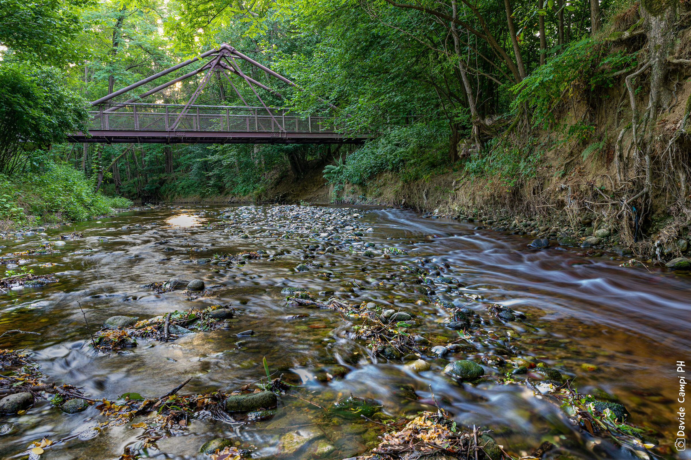 Seta sotto il ponte