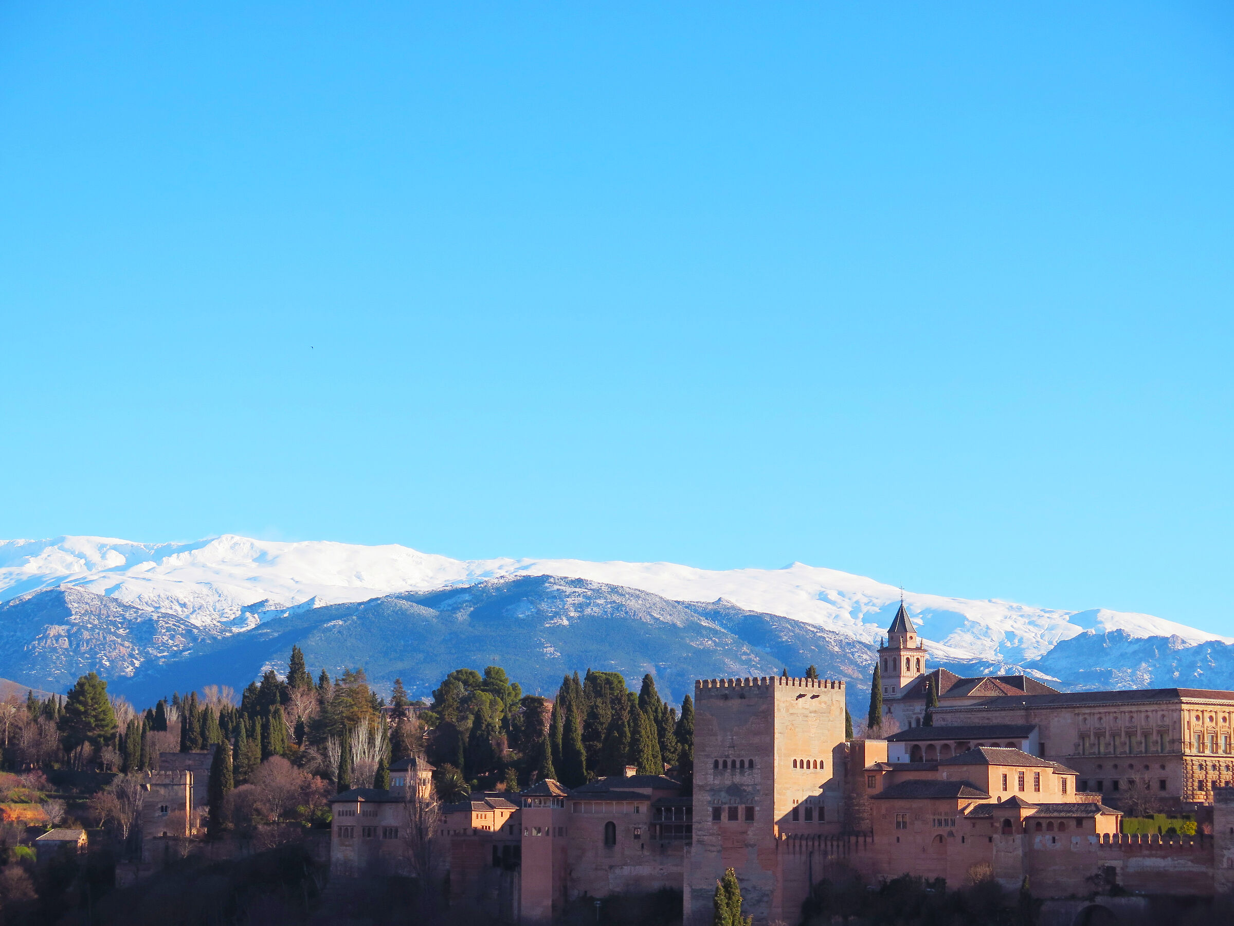 Prima foto fatta all'Alhambra. Febbraio 2019
