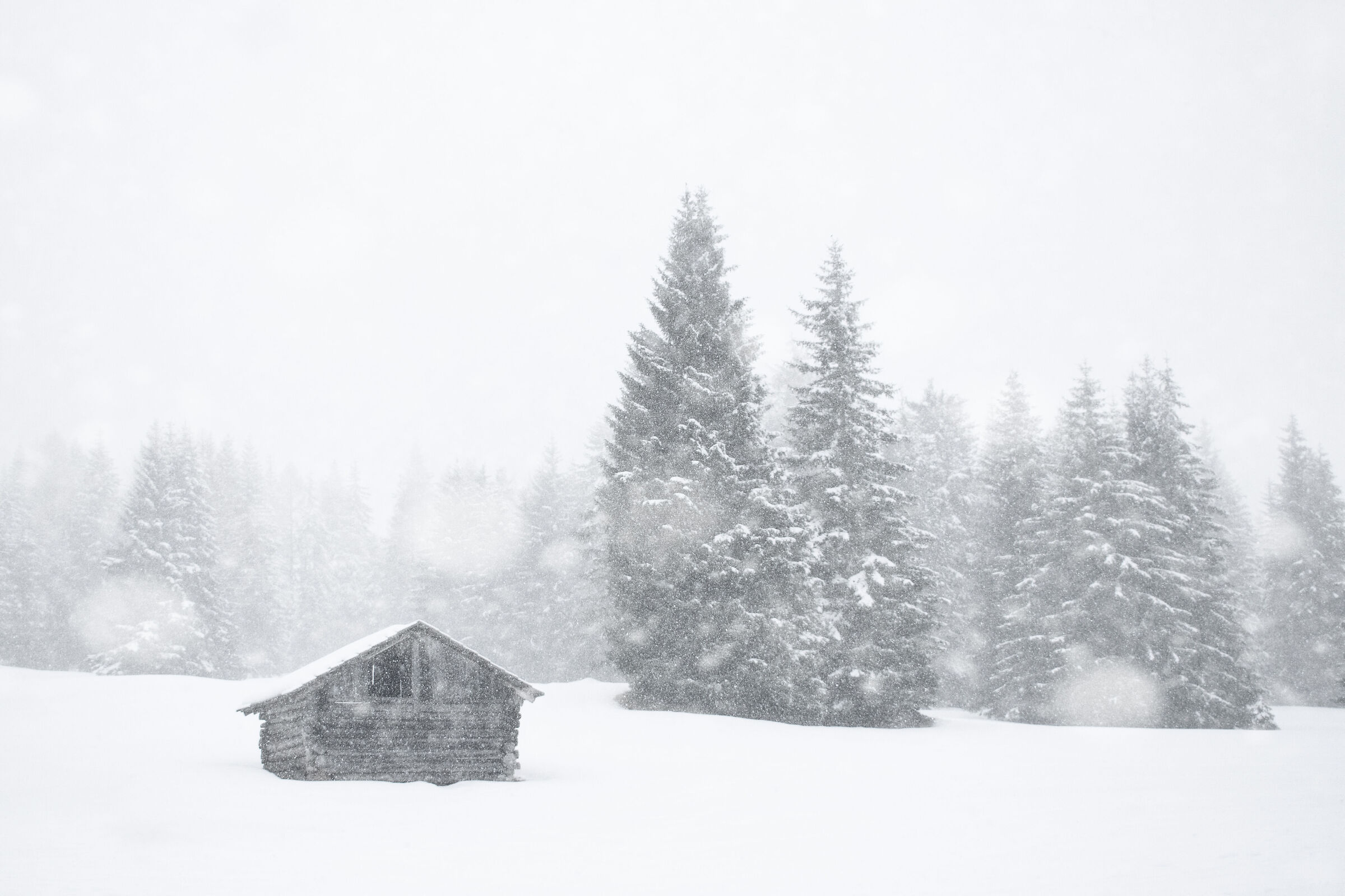 Memories of winter