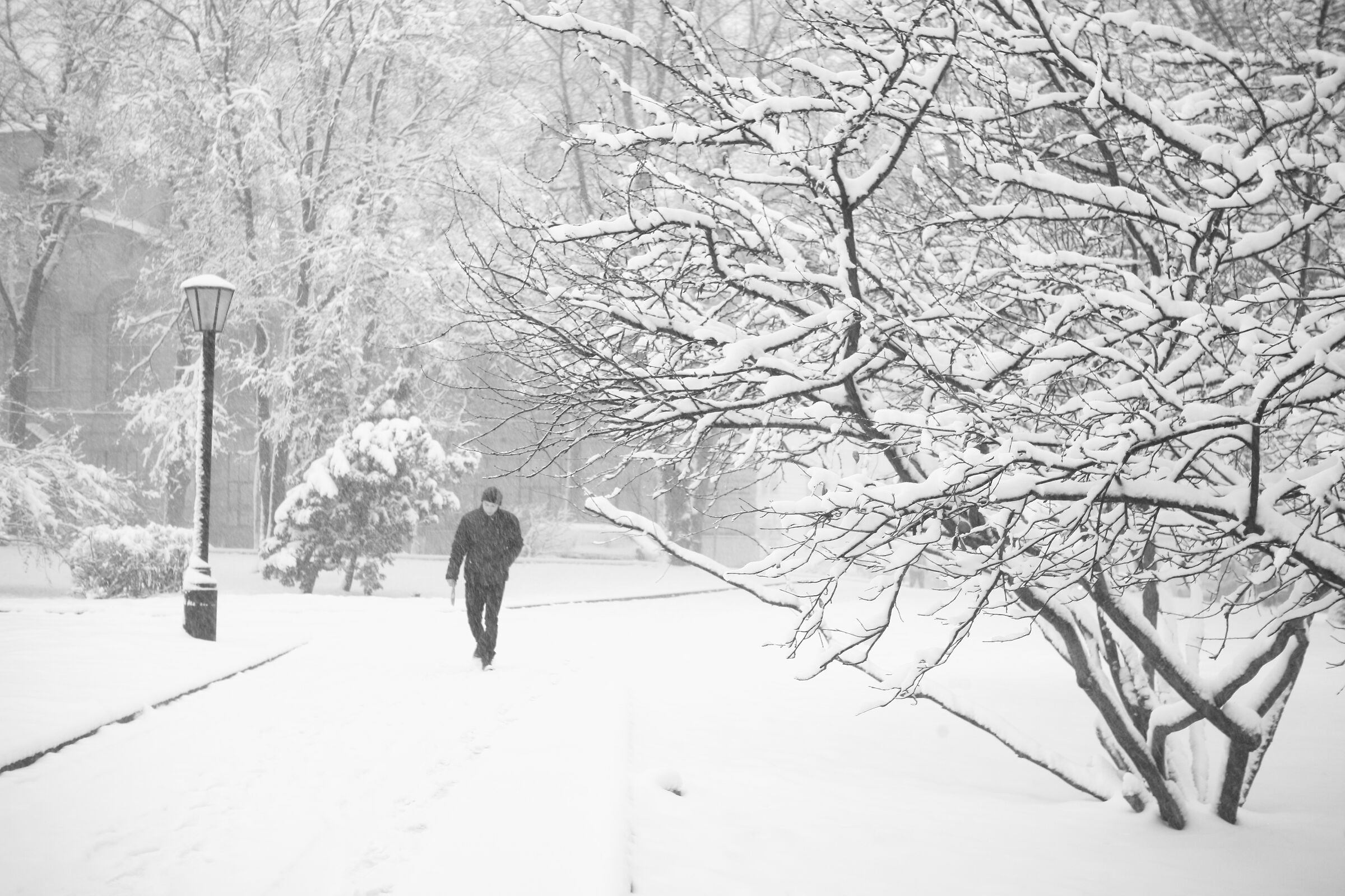 Blizzard 3 ·
