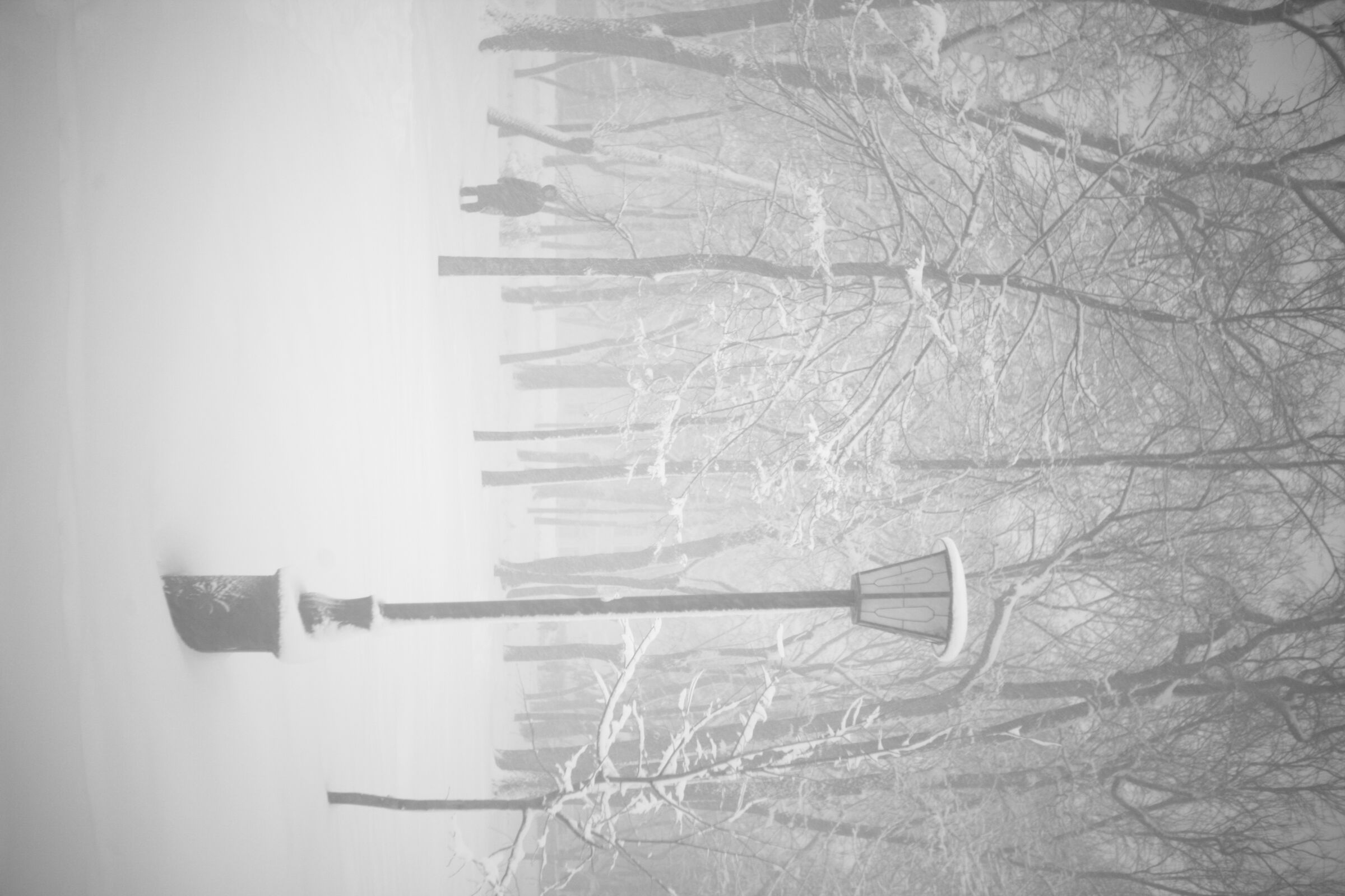 Blizzard 5 ·