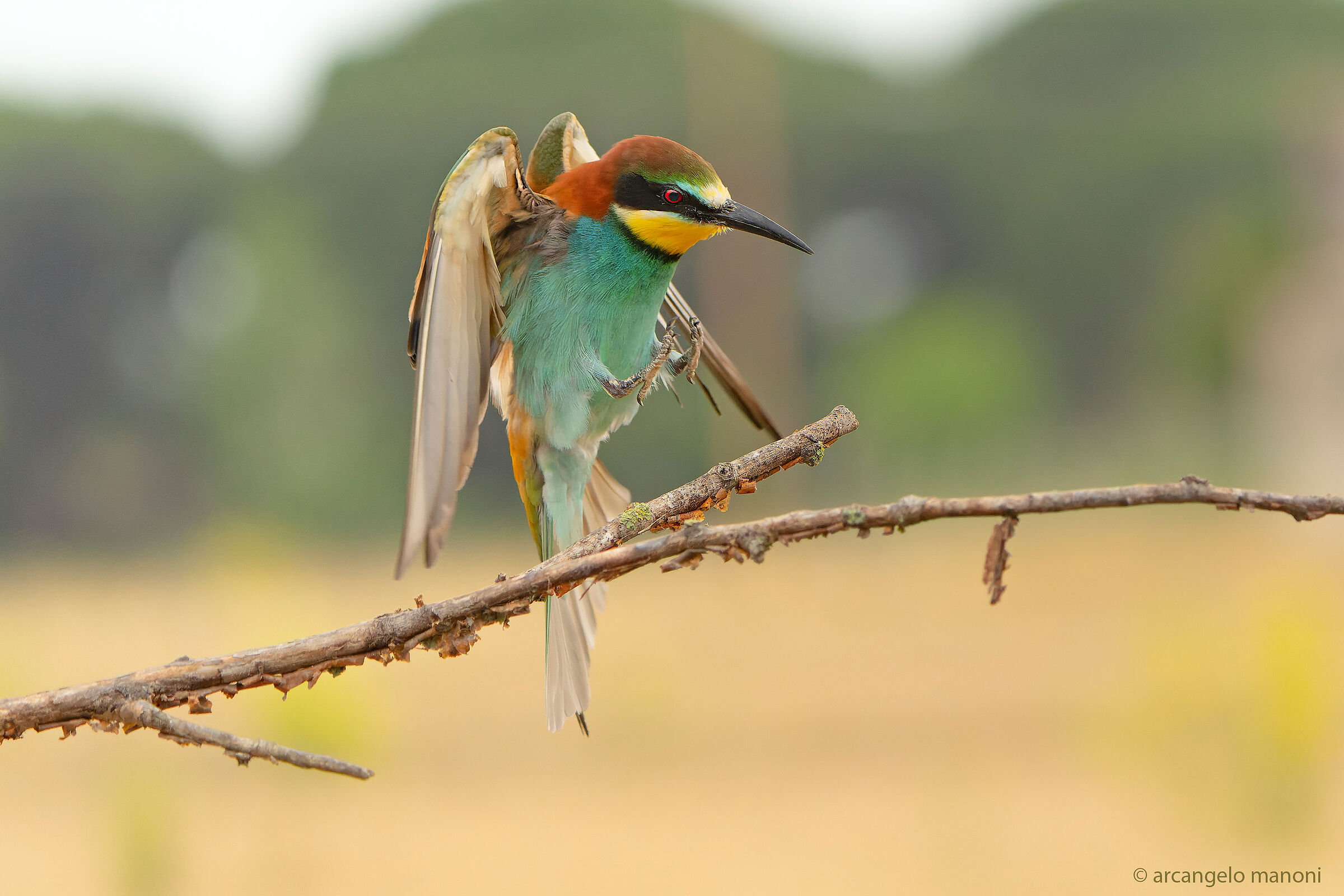 seize the fleeting moment