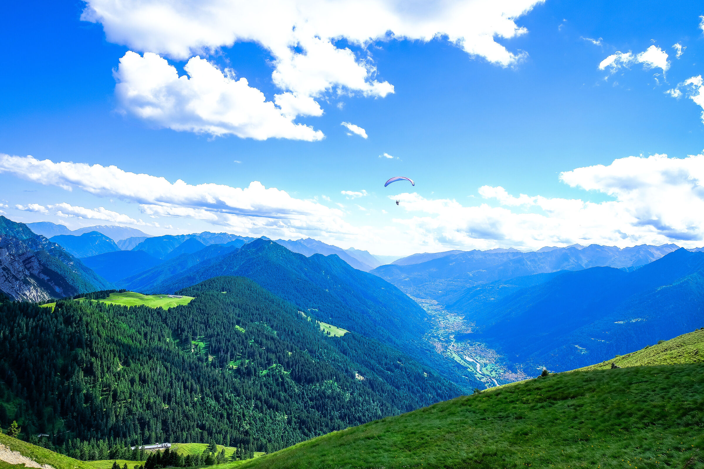 Desiderio di essere liberi