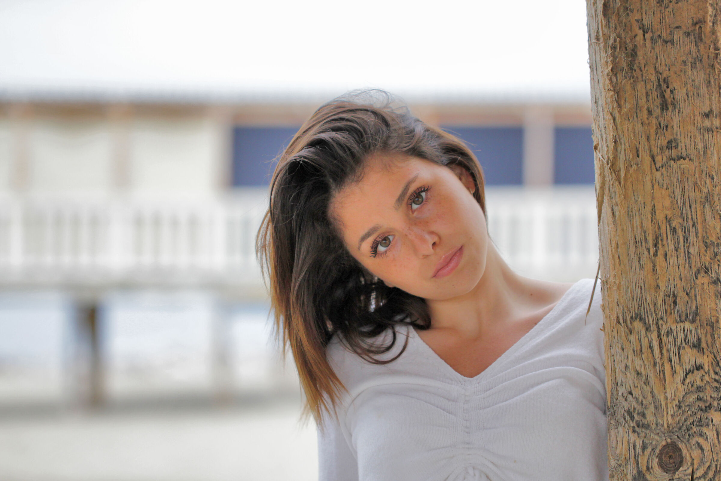 Untitled Photo