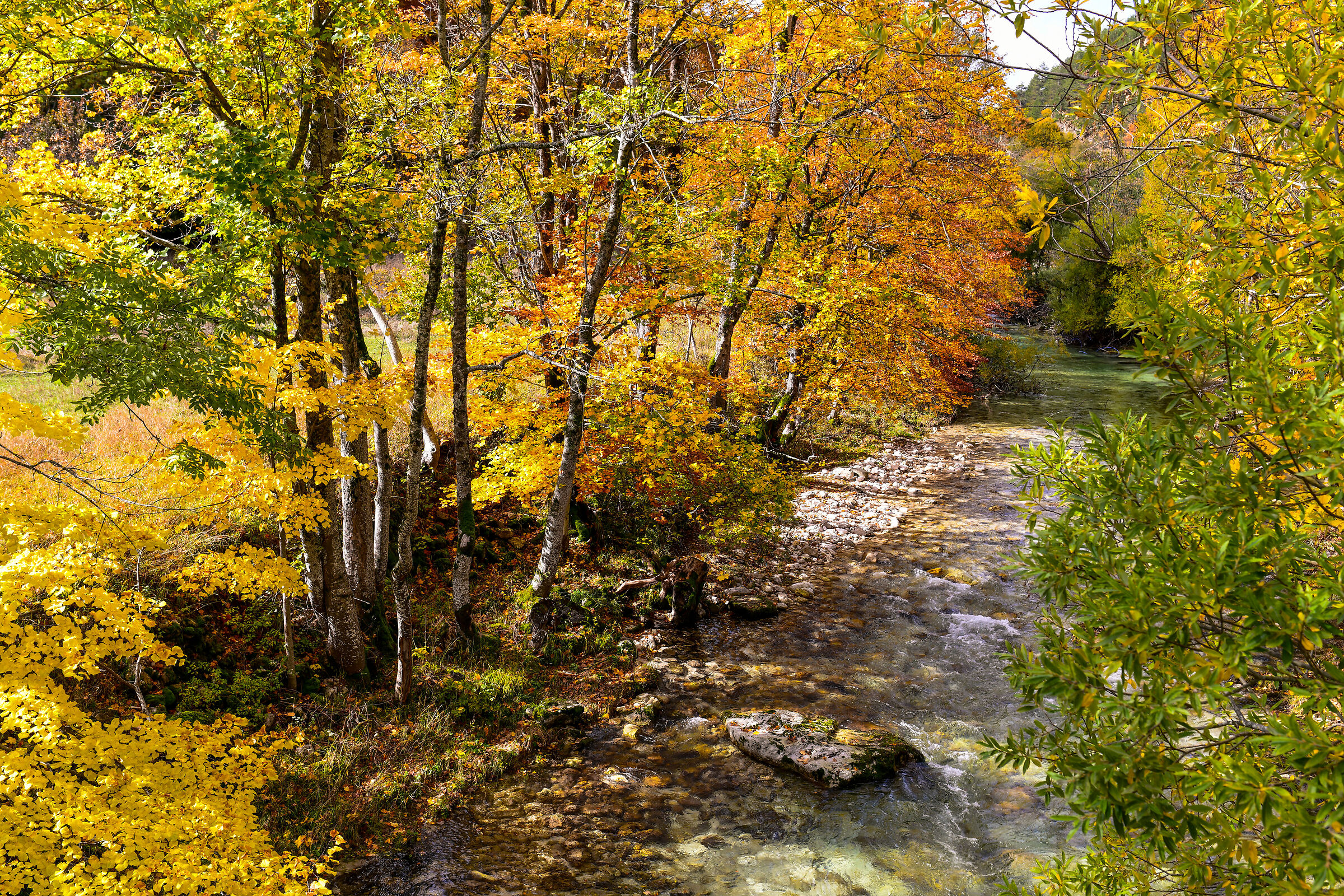 Un fresco ruscello nel Parco Nazionale d'Abruzzo