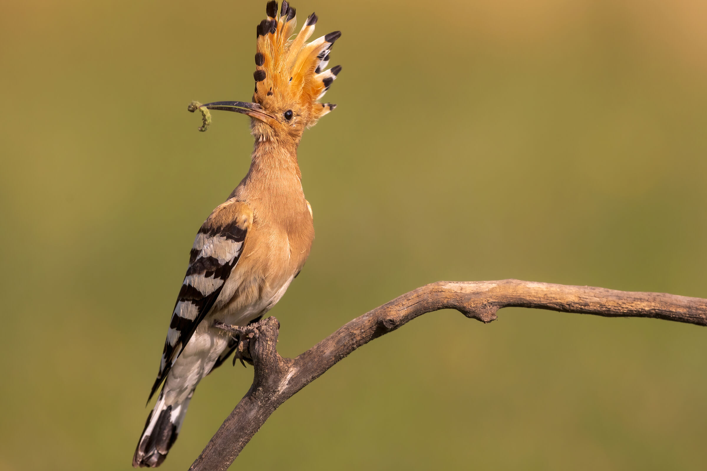 ...just in the frame...