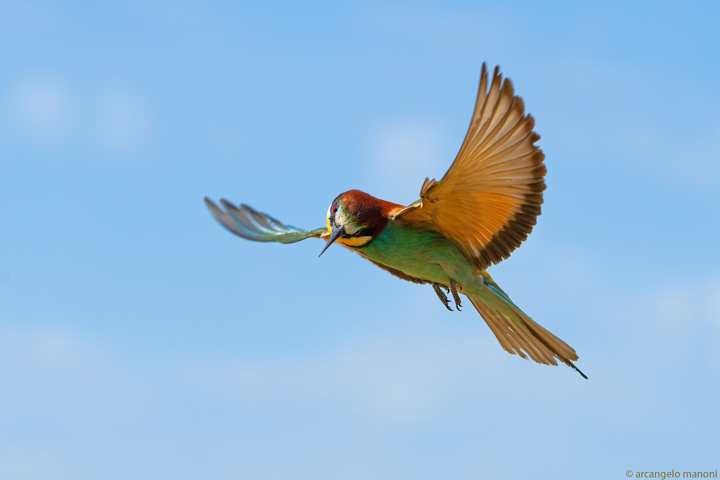 See the world from above