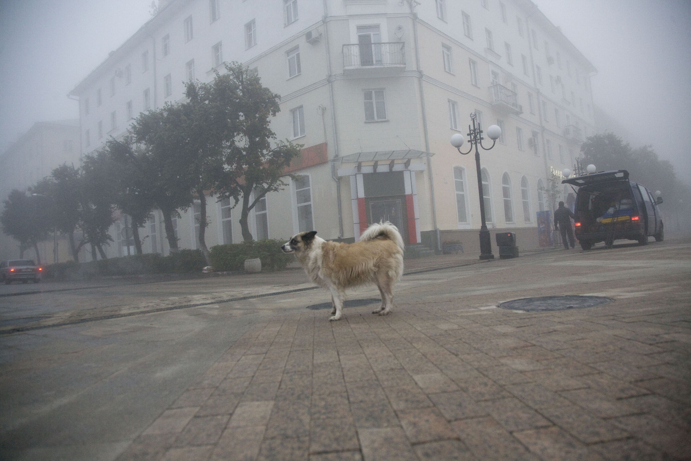 La mattina del cane