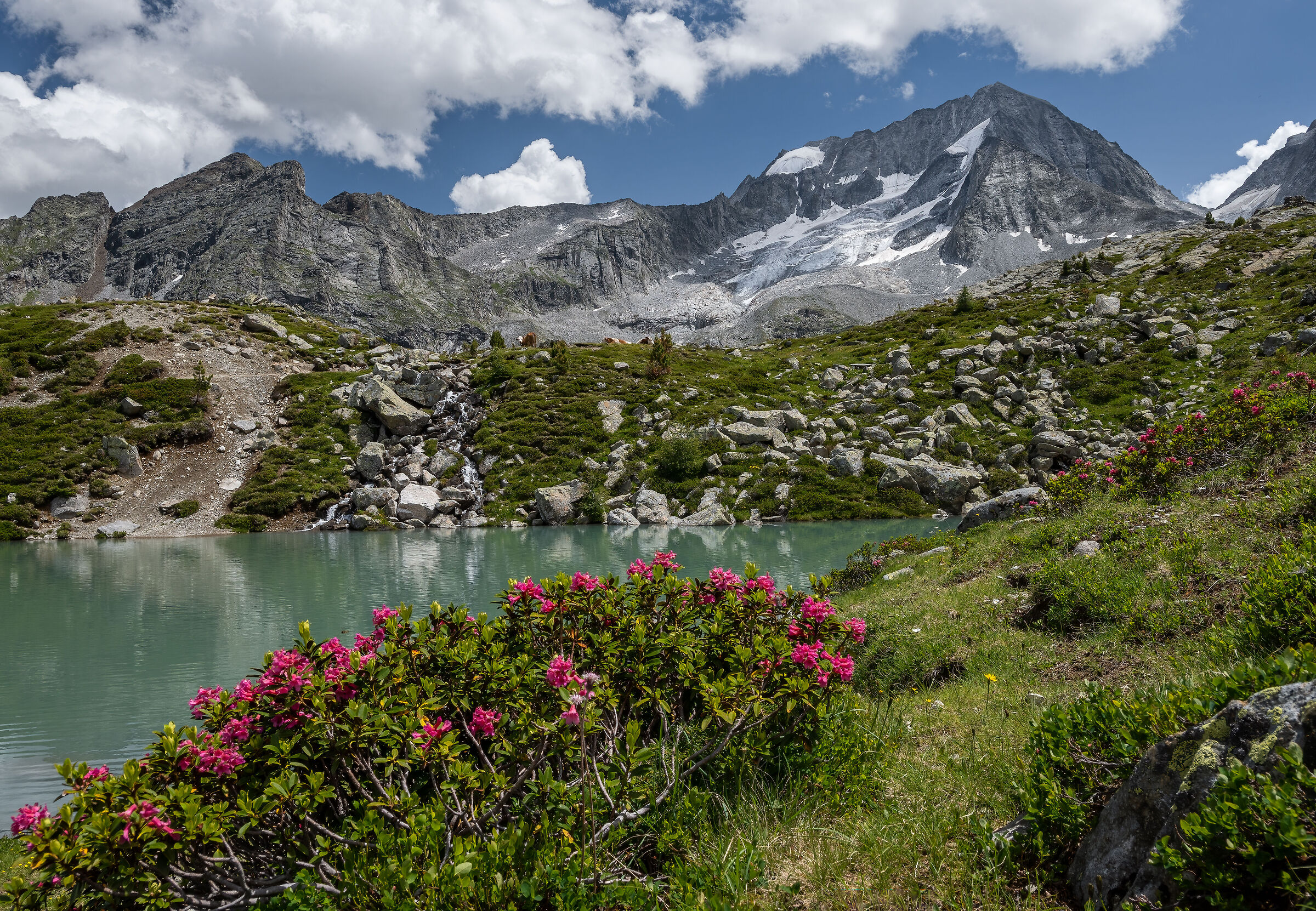 Vedrette di Ries-Aurina Nature Park - Monte Collalto