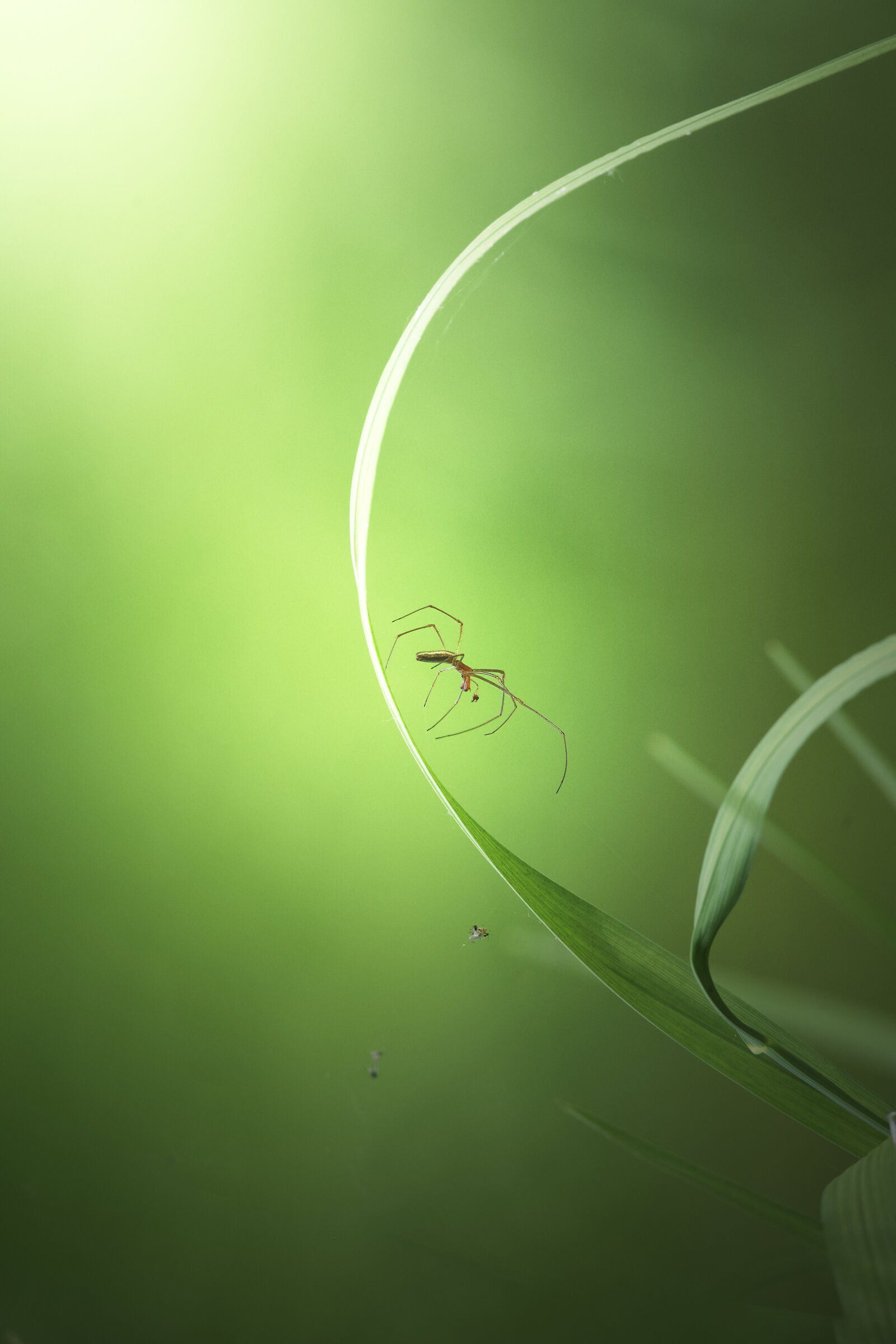 Untitled Photo