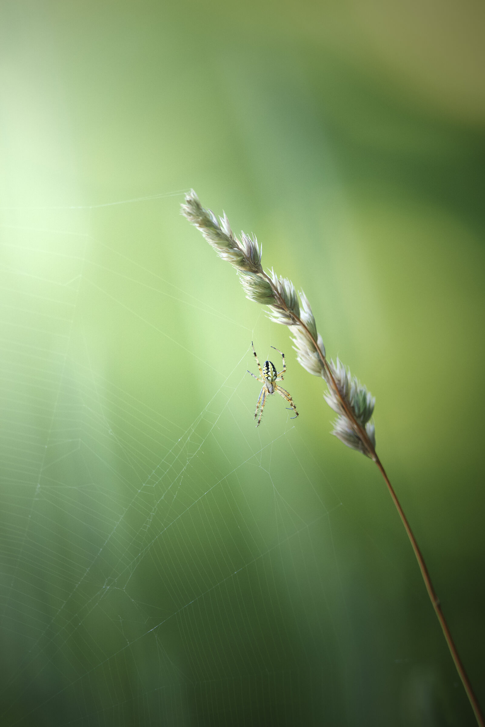 Untitled Photo
