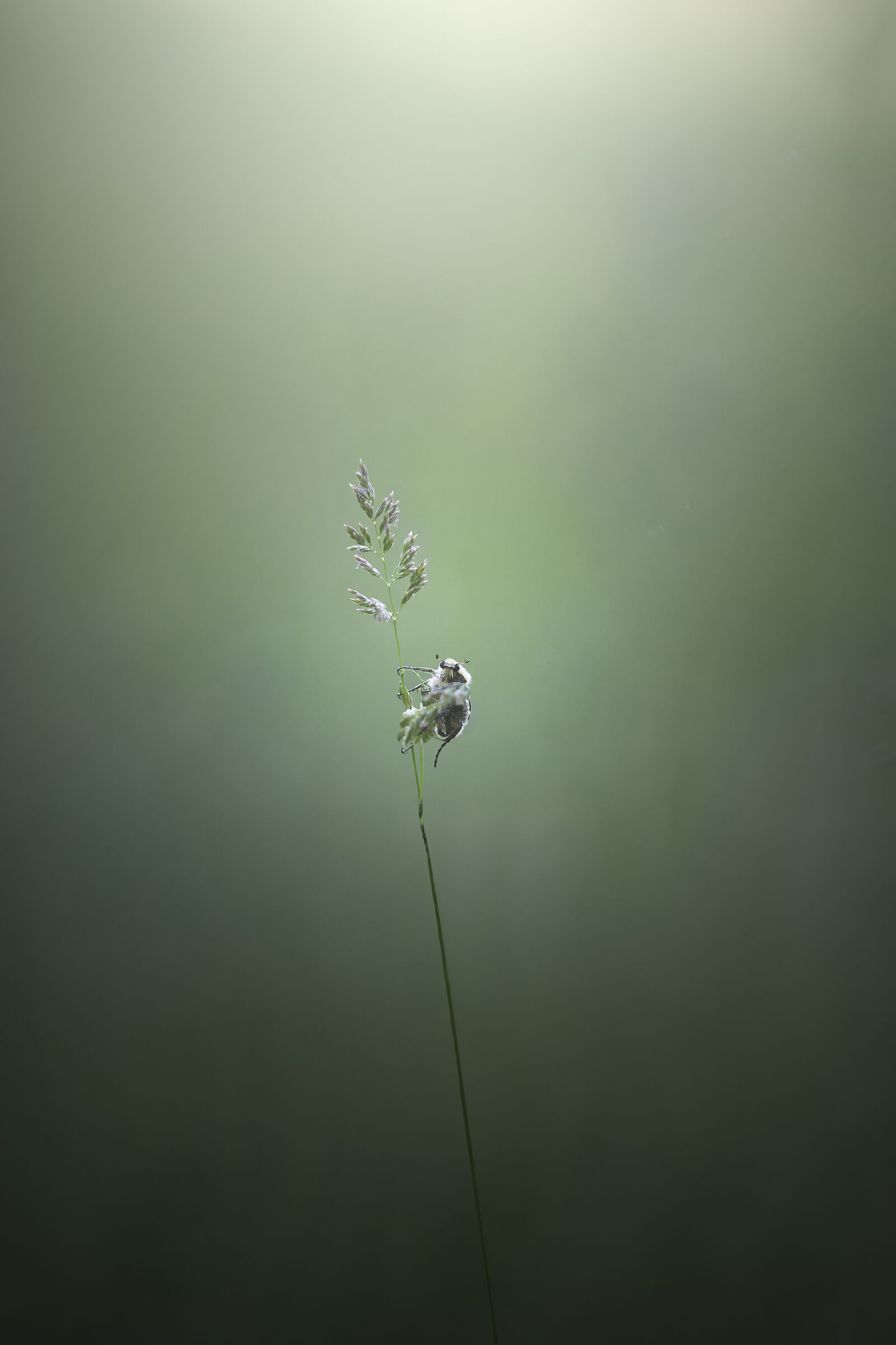 Untitled Photo