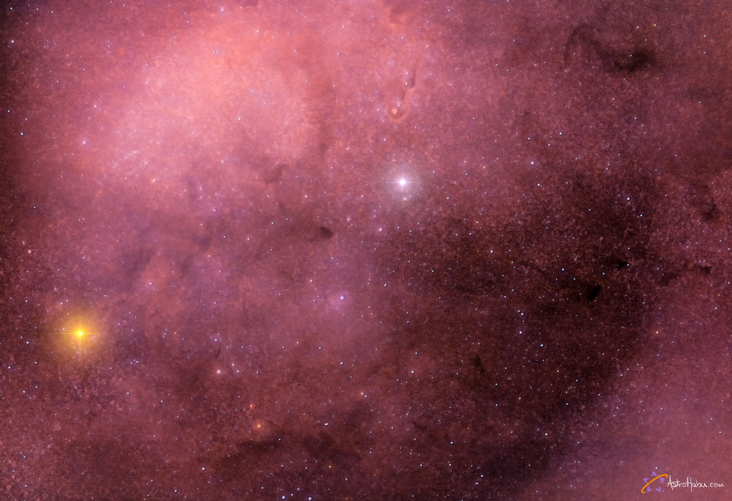 The Elephant trunk nebula