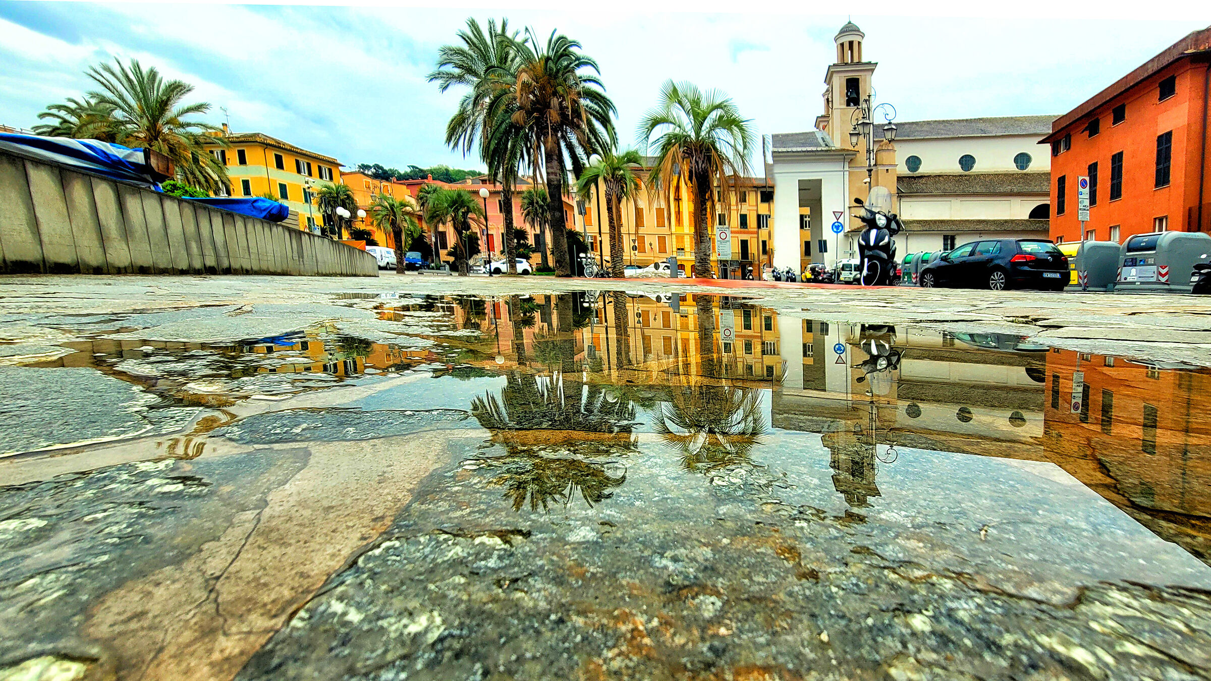 Palm trees and reflections