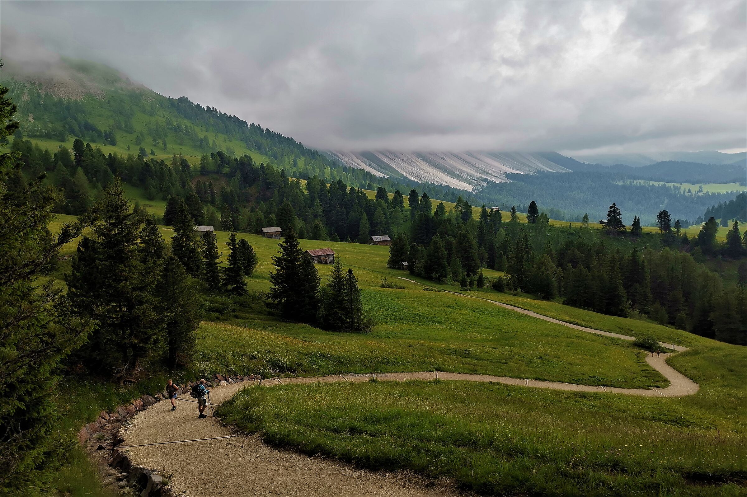 Trail in Val di Funes