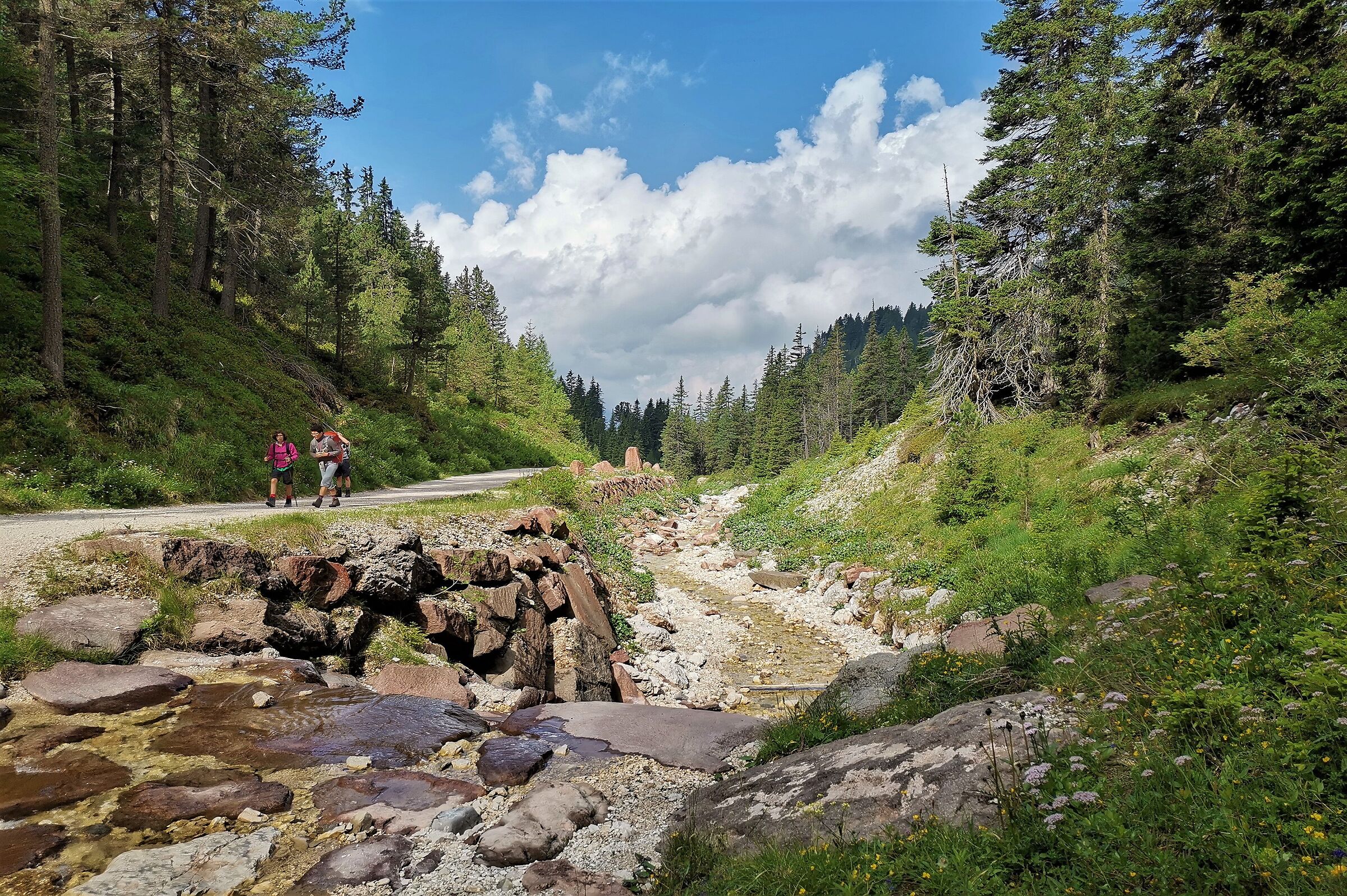 Trail in Val di Funes