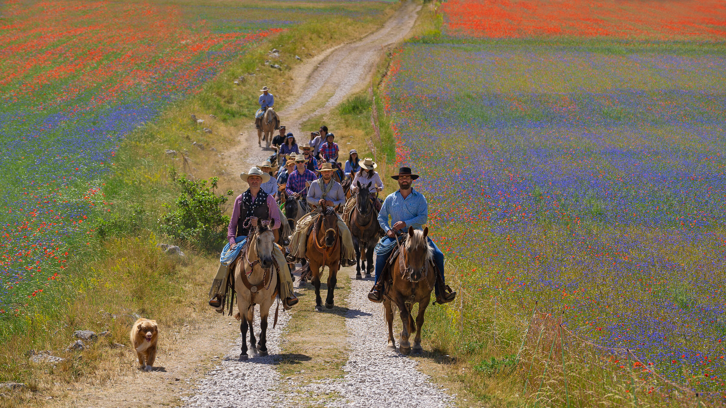 Castelluccio di Norcia (Sibillini Ranch)