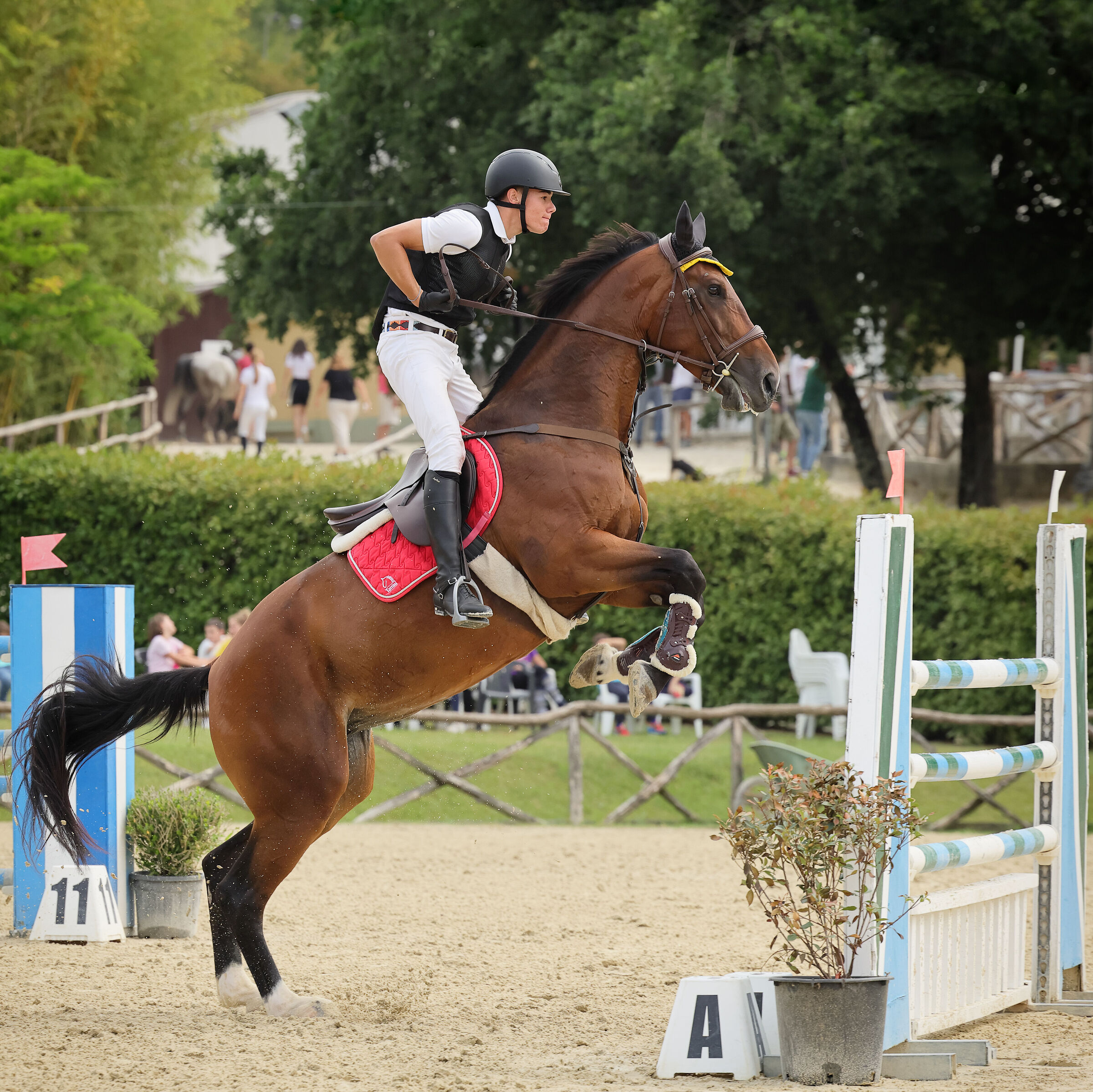 Pistoia Equestrian Center