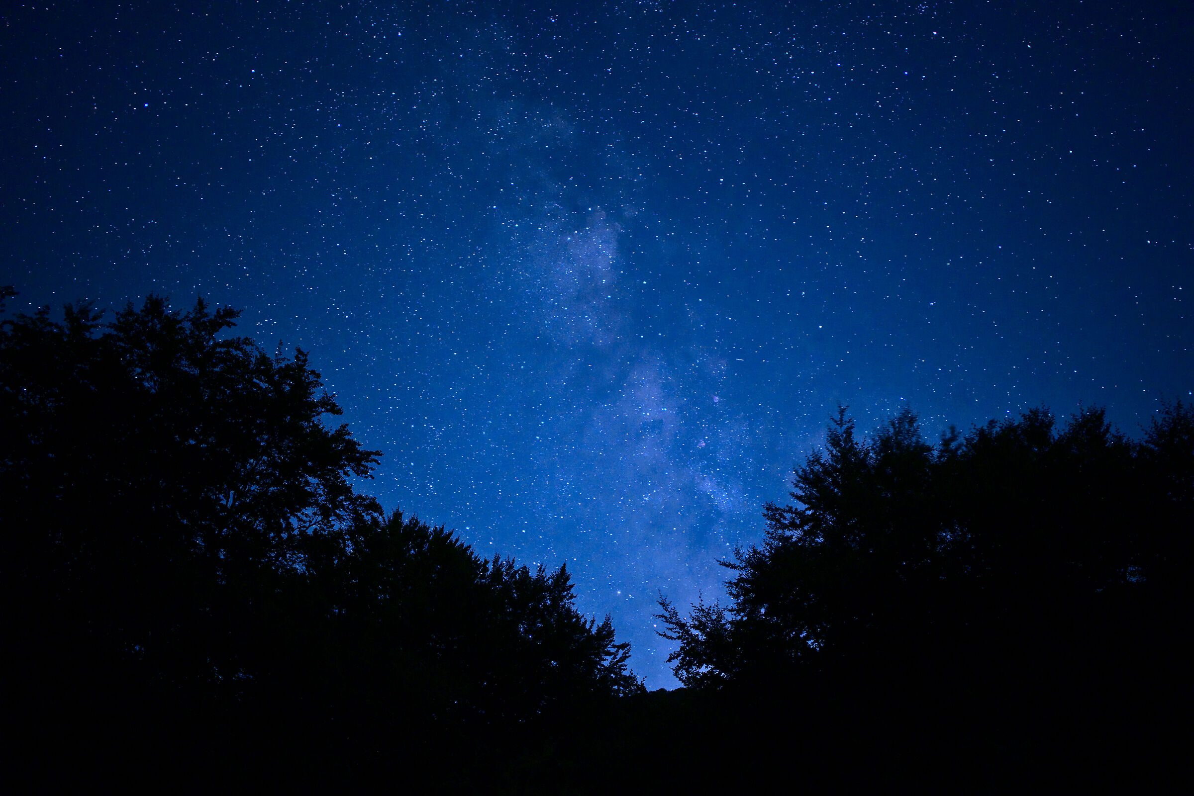 Sky and Earth meeting on a summer night