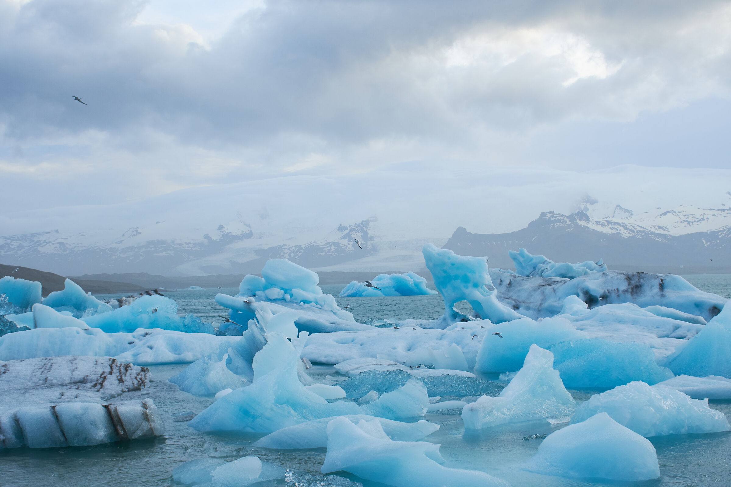 Jokullsarlon - frozen lagoon