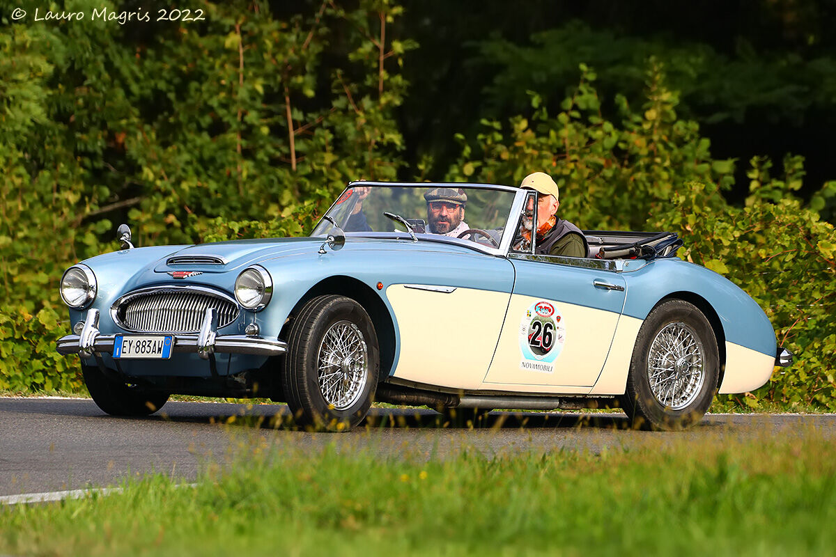 Austin Healey MK III BJ - 1964