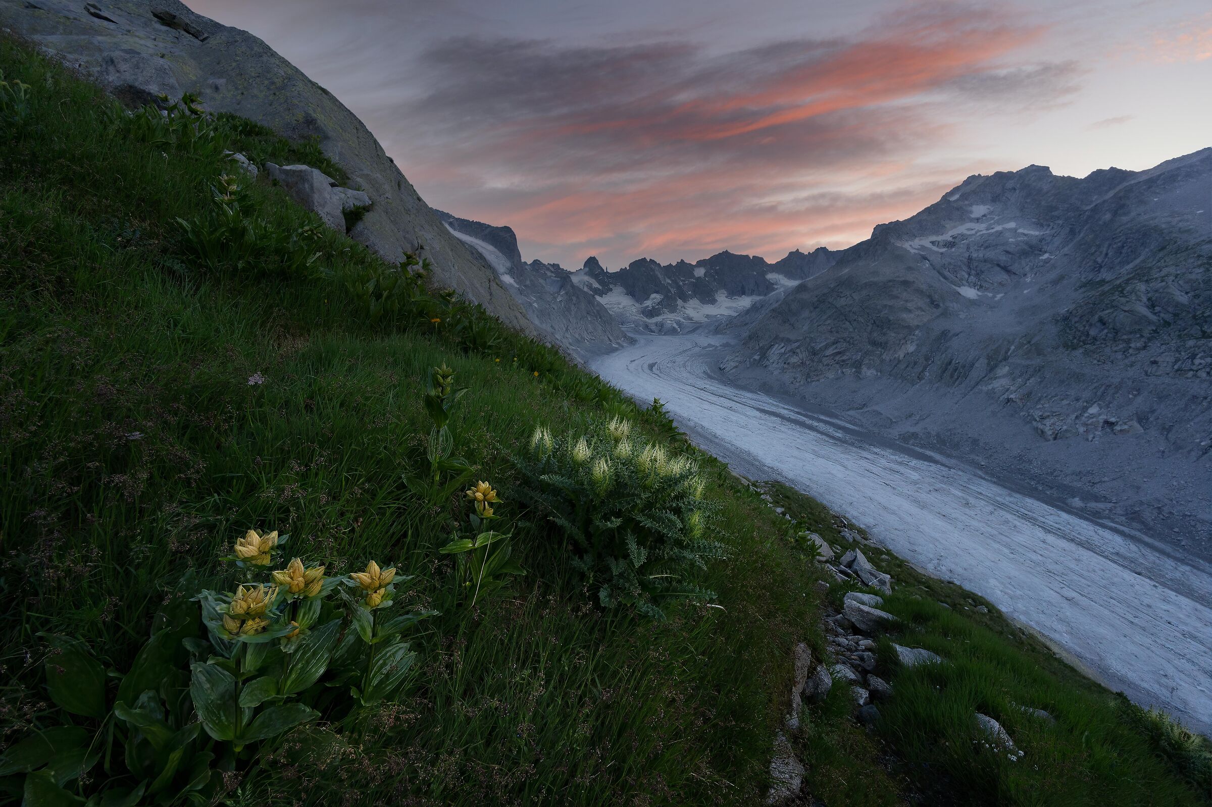 Forno Valley