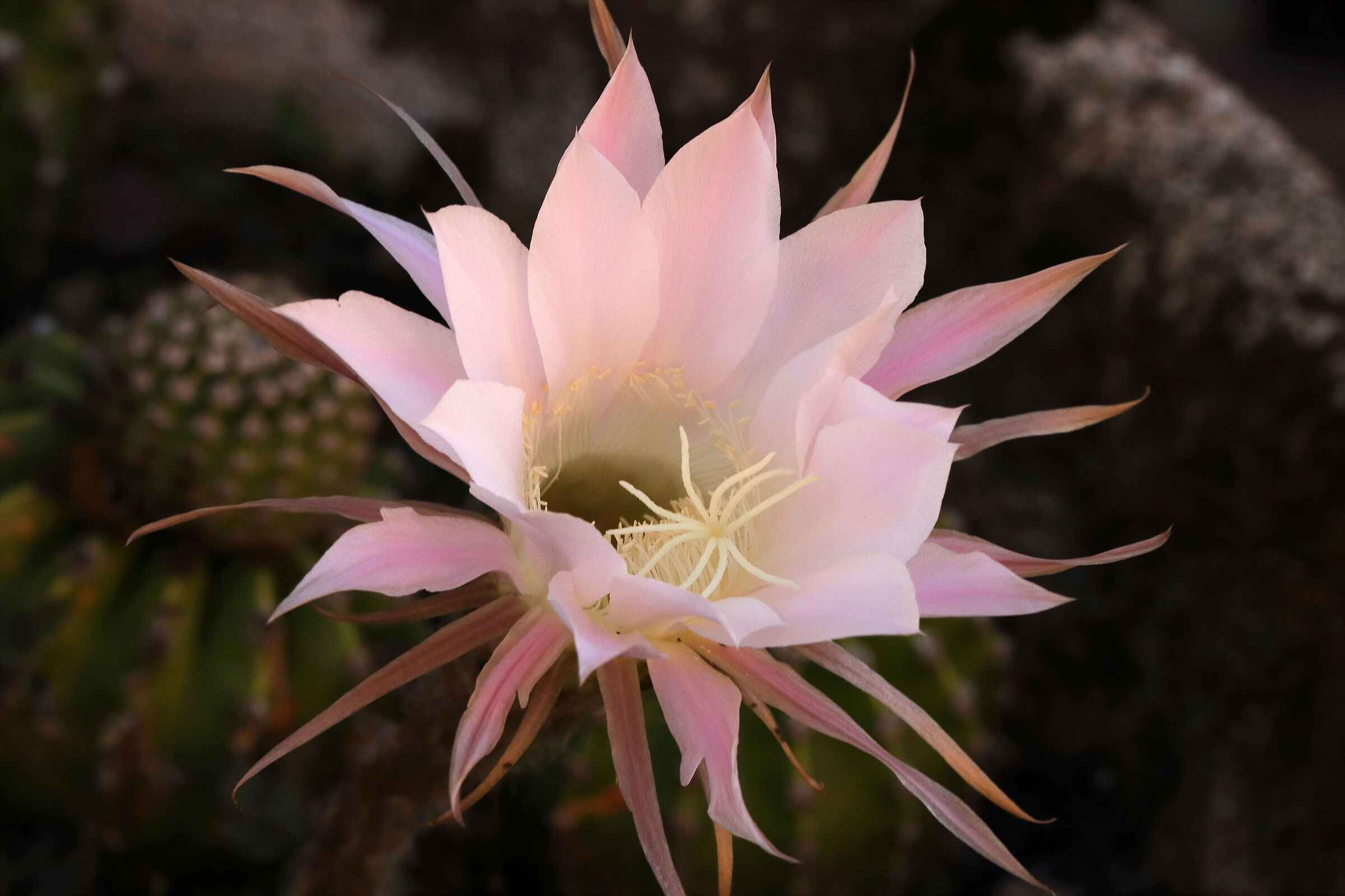 24 hours of splendour