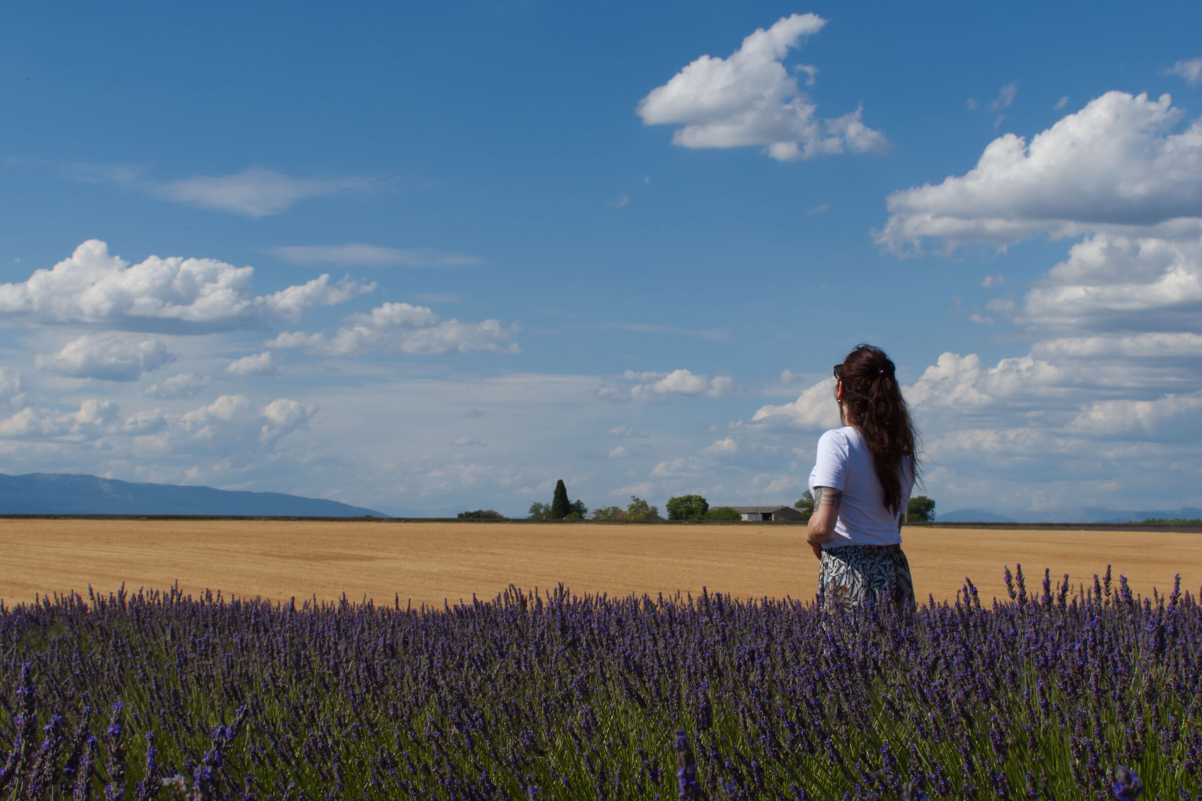 Lavender Bath
