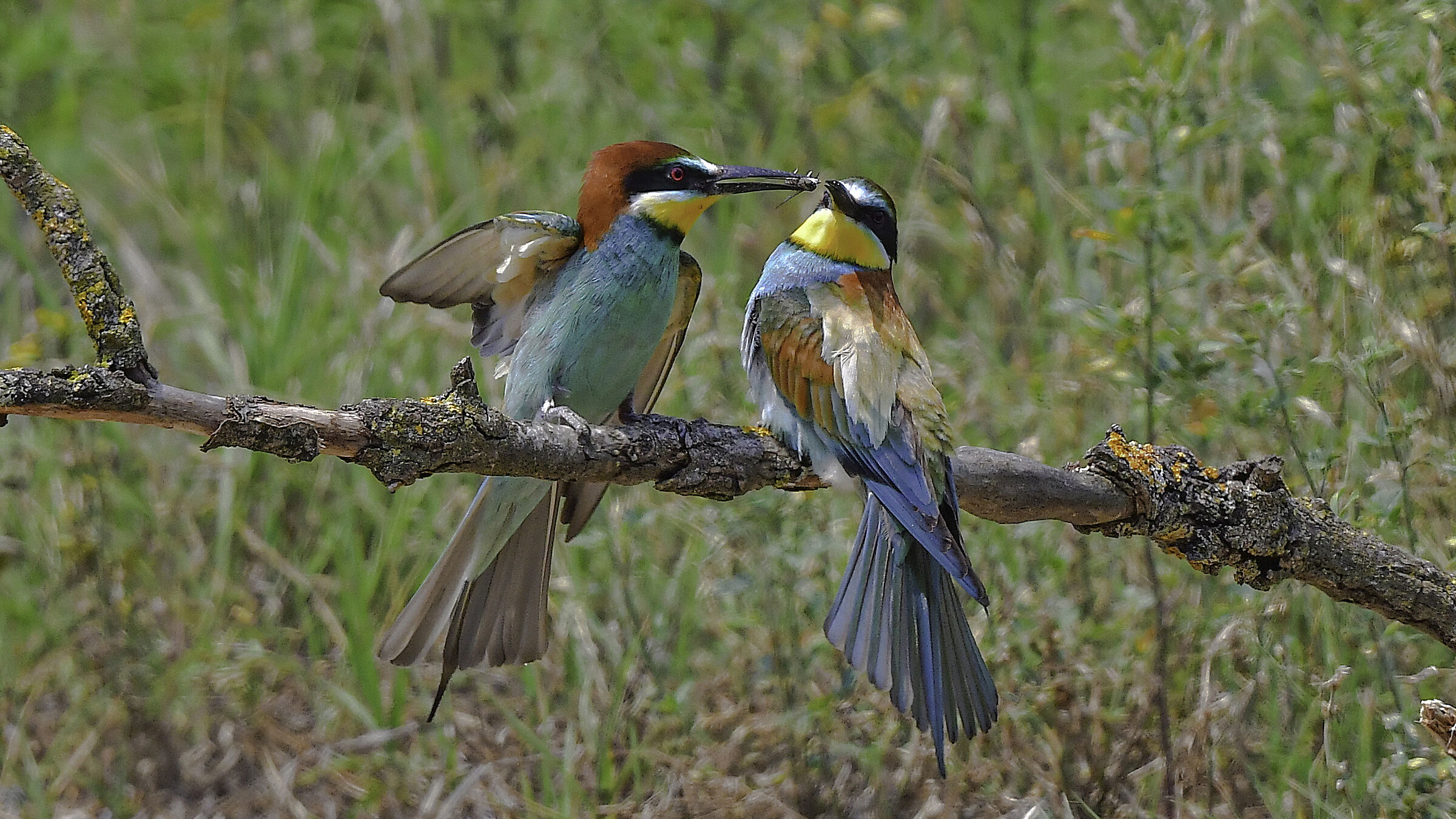 Dai non fare la difficile non siamo nel anno 70 - 8o