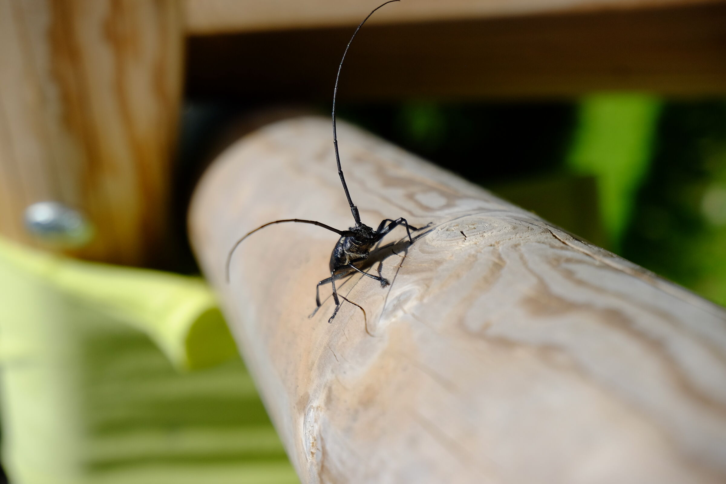 Don't put yourself....