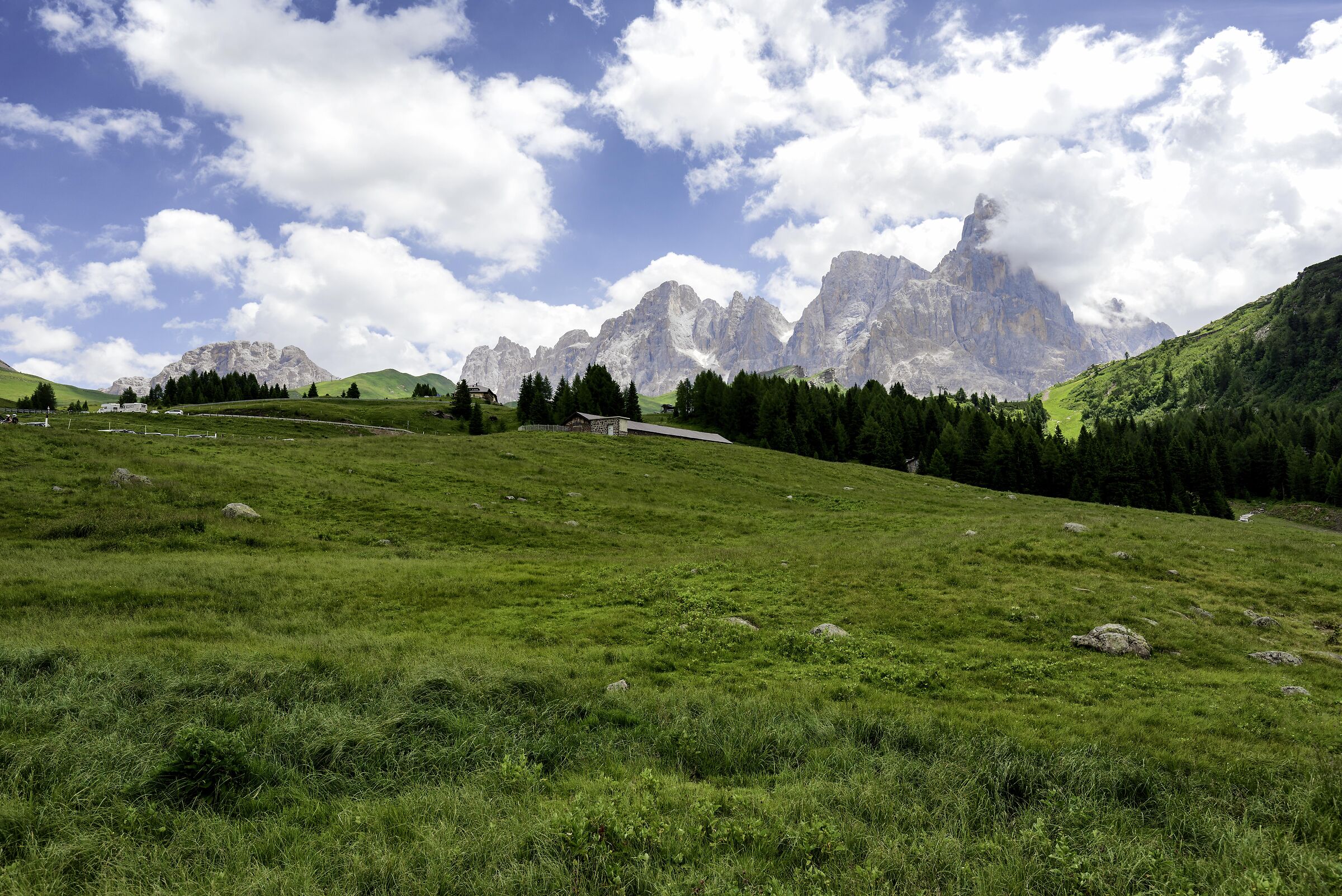 The altarpieces of San Martino da Passo Rolle