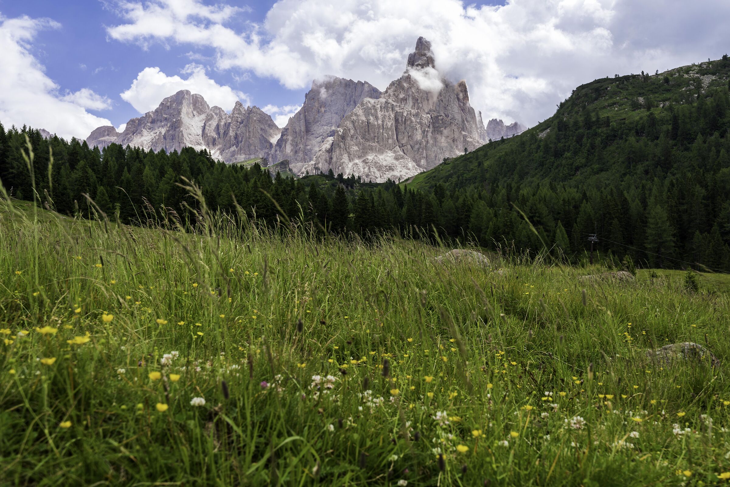 The altarpieces of San Martino da Passo Rolle