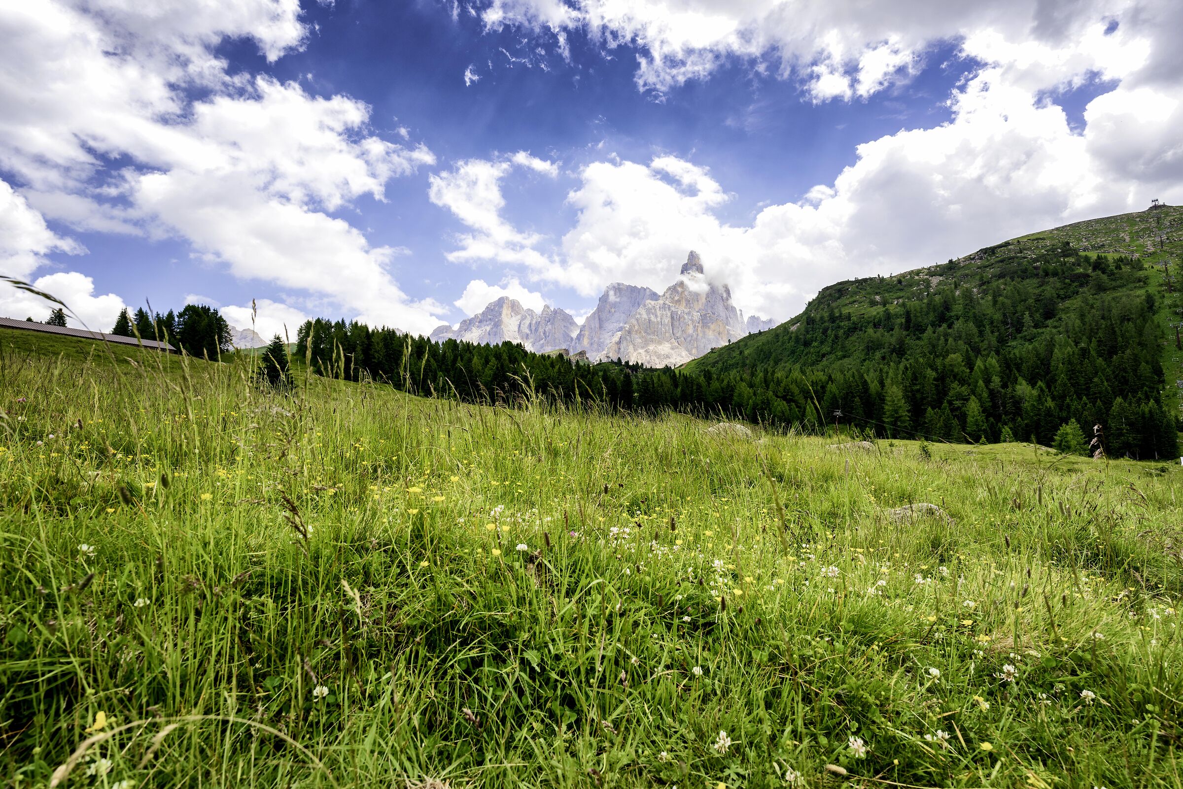 The altarpieces of San Martino da Passo Rolle