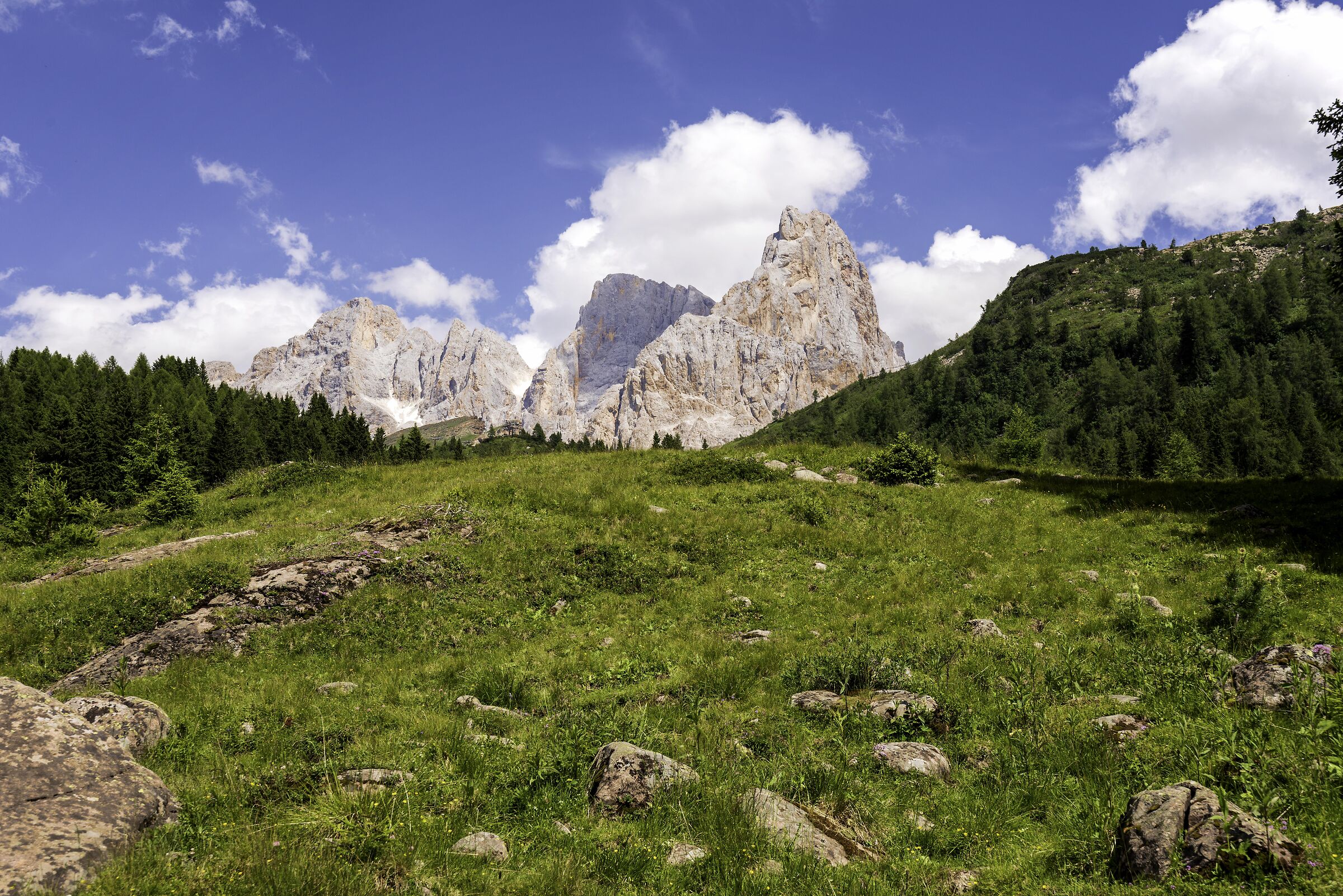 The altarpieces of San Martino da Passo Rolle