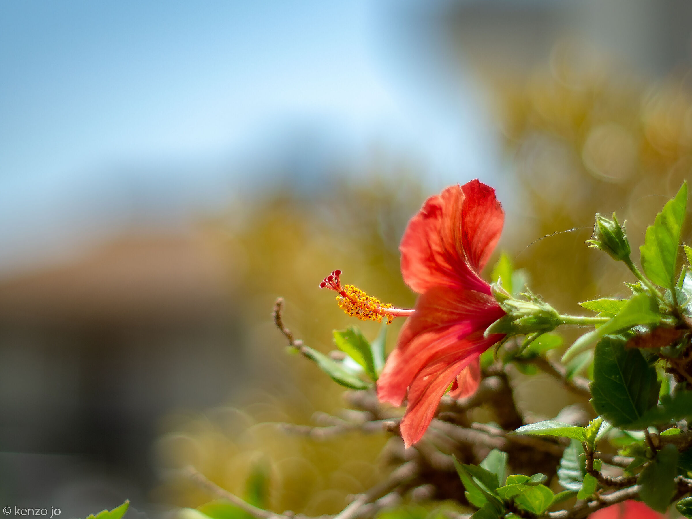 Caldo tramonto di luglio