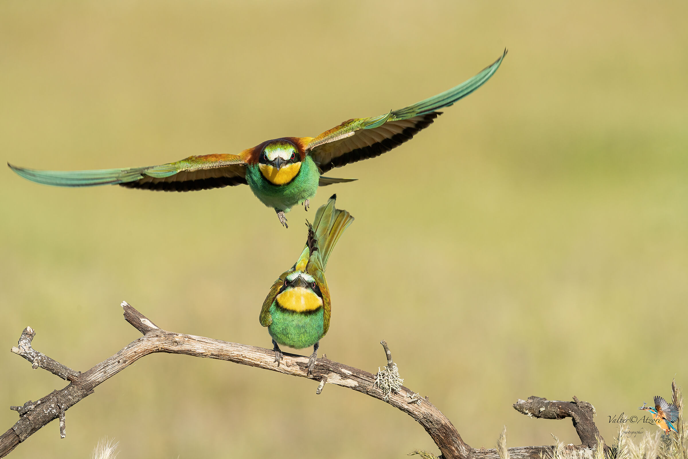 After sex, but she didn't like it